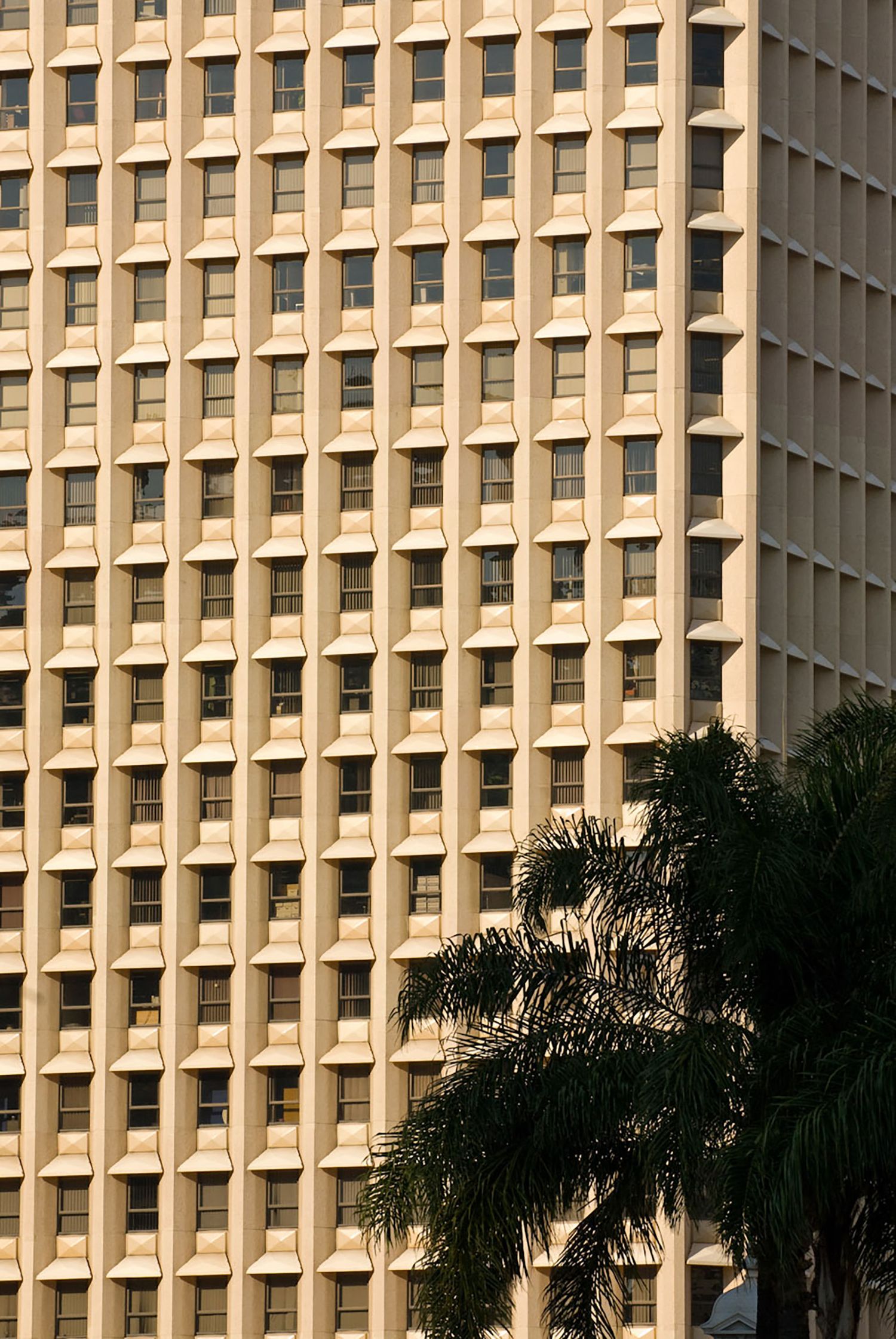 Tall beige office building facade with uniform rows of windows and a palm tree silhouette in foreground.