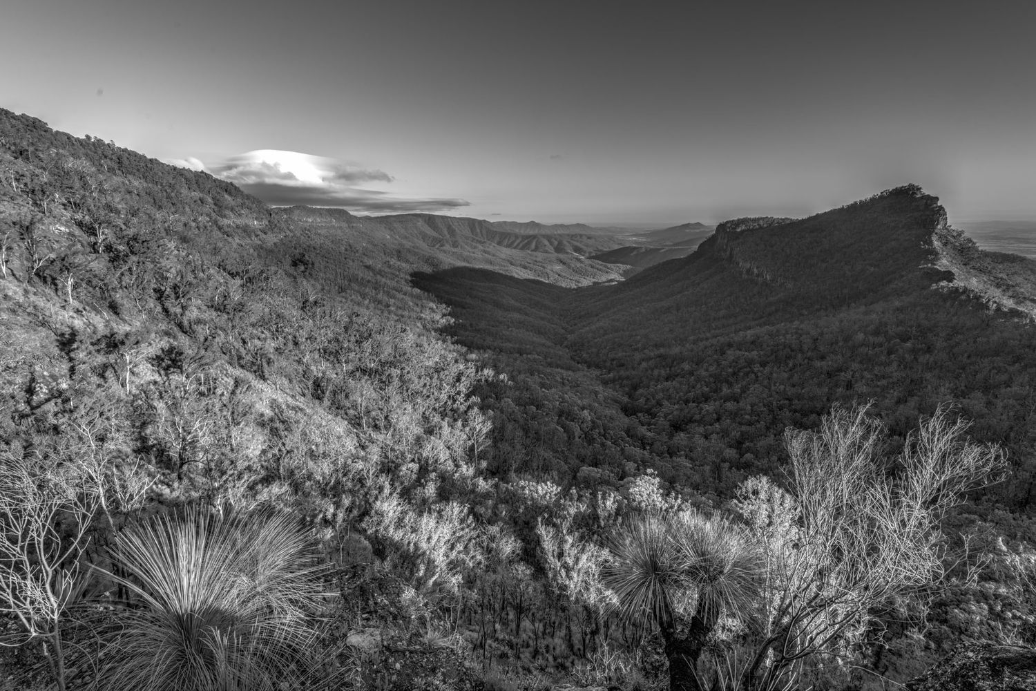 Black and white panoramic view of rugged mountain valleys with dense bush vegetation under dramatic sky.