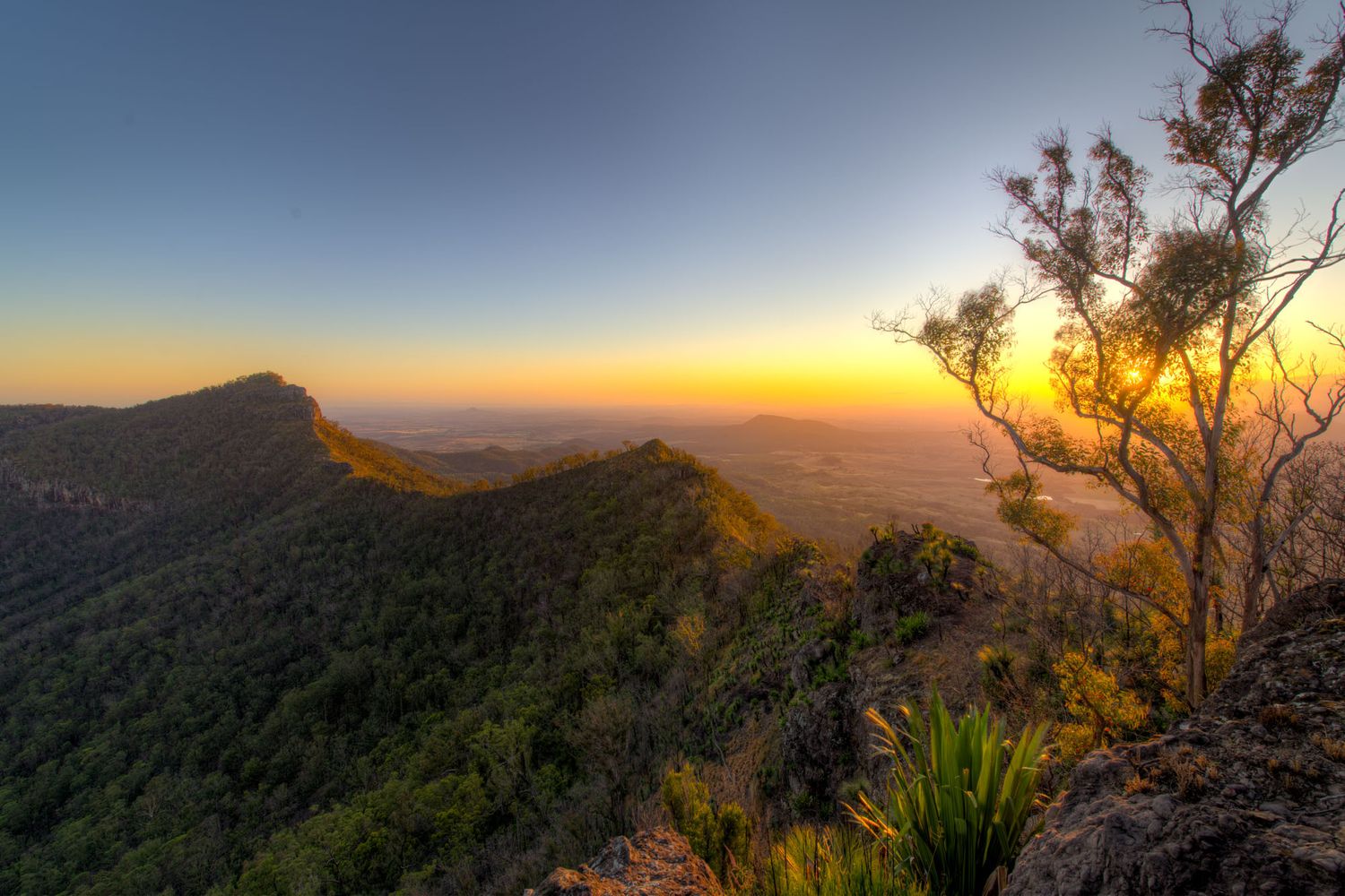 Breathtaking sunset view from a mountain summit with lush green trees and expansive valley below.