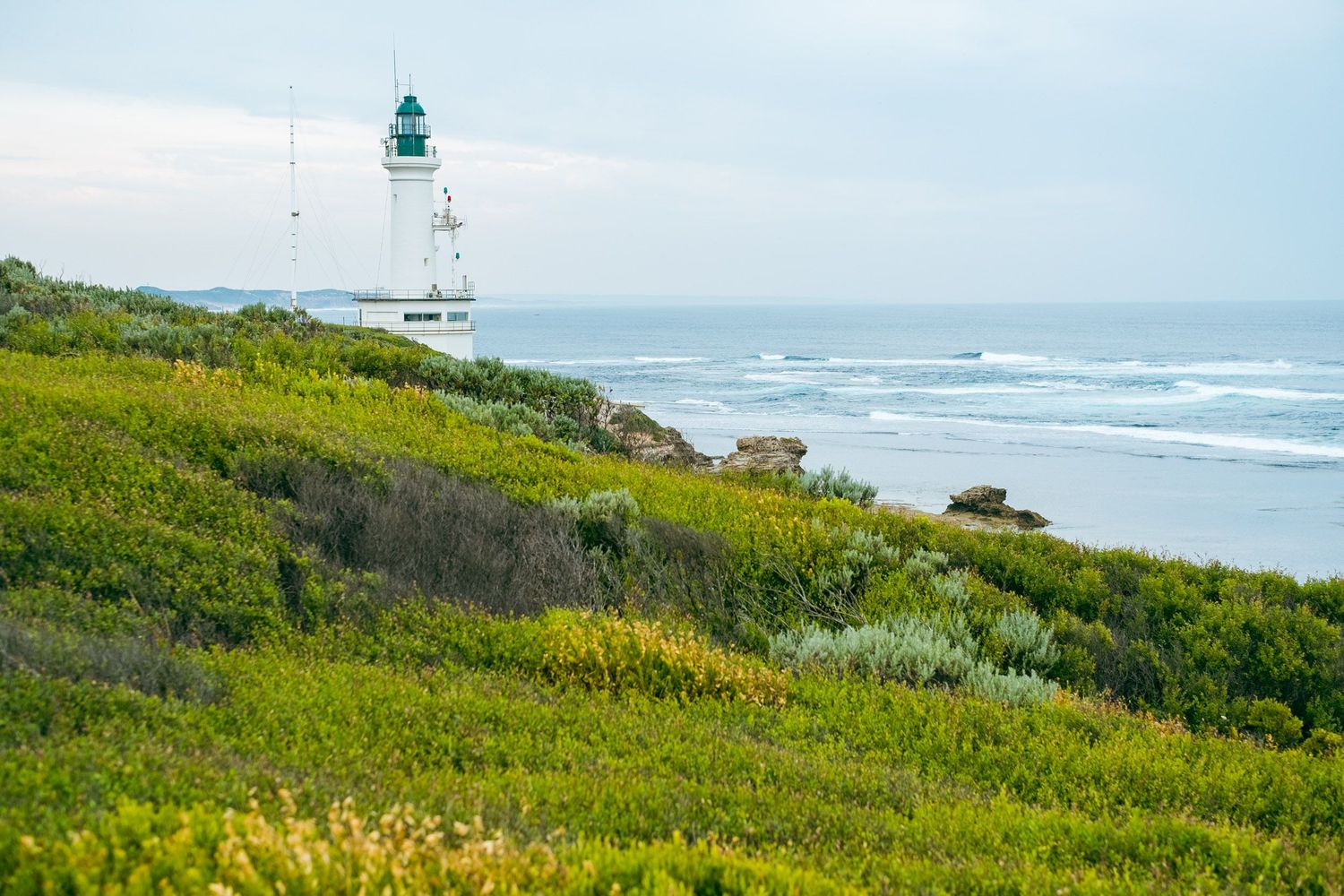 A white lighthouse stands above lush coastal vegetation with ocean waves in the background.