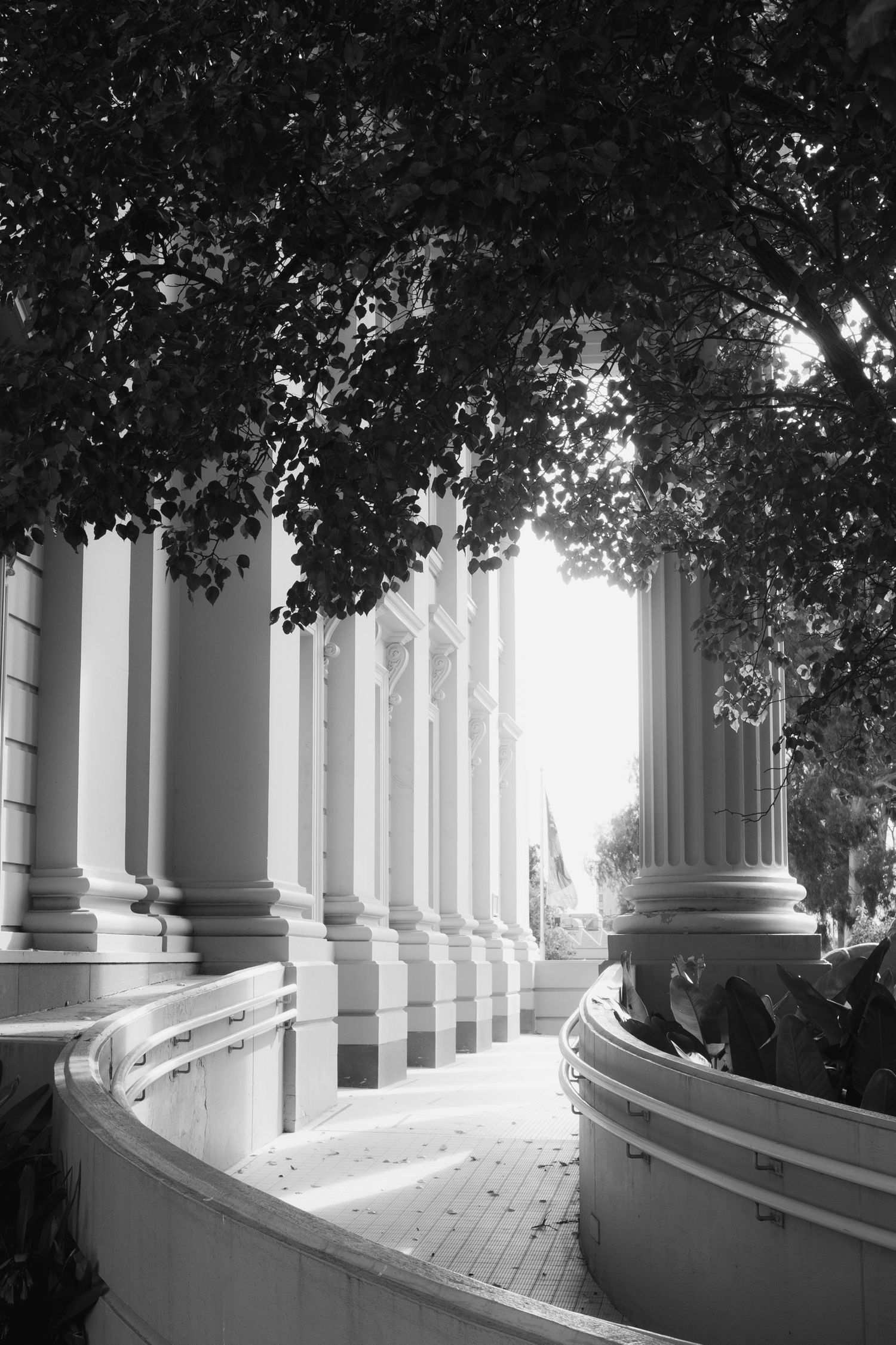 Black and white photo of elegant curved white colonial columns lining a shaded historic building walkway.