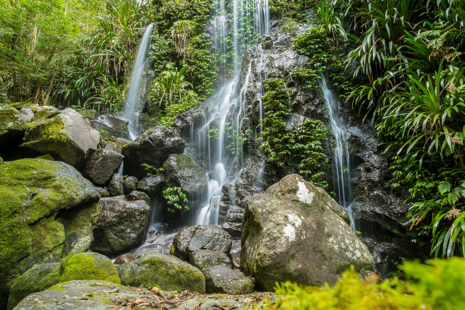 Serene tropical waterfall cascading over moss-covered rocks surrounded by lush green rainforest vegetation.