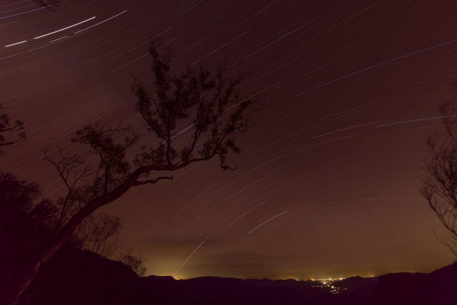Long exposure night sky star trails over dark silhouetted trees and distant glowing city lights.