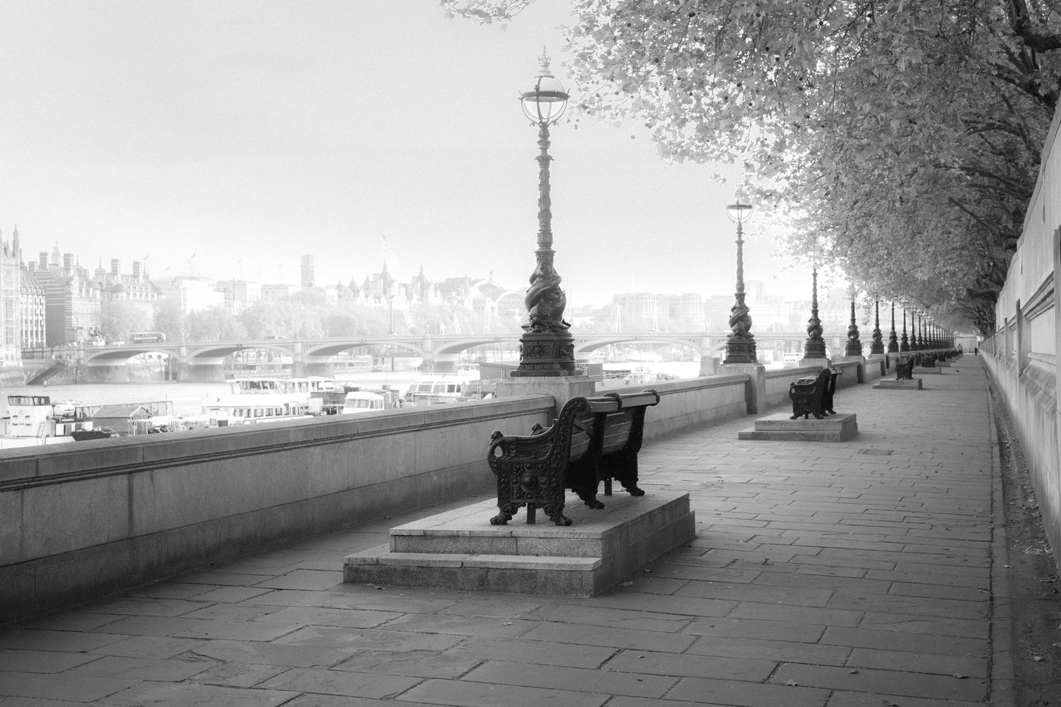 Misty black and white photo of a Thames riverside walkway with ornate lampposts and benches in London.