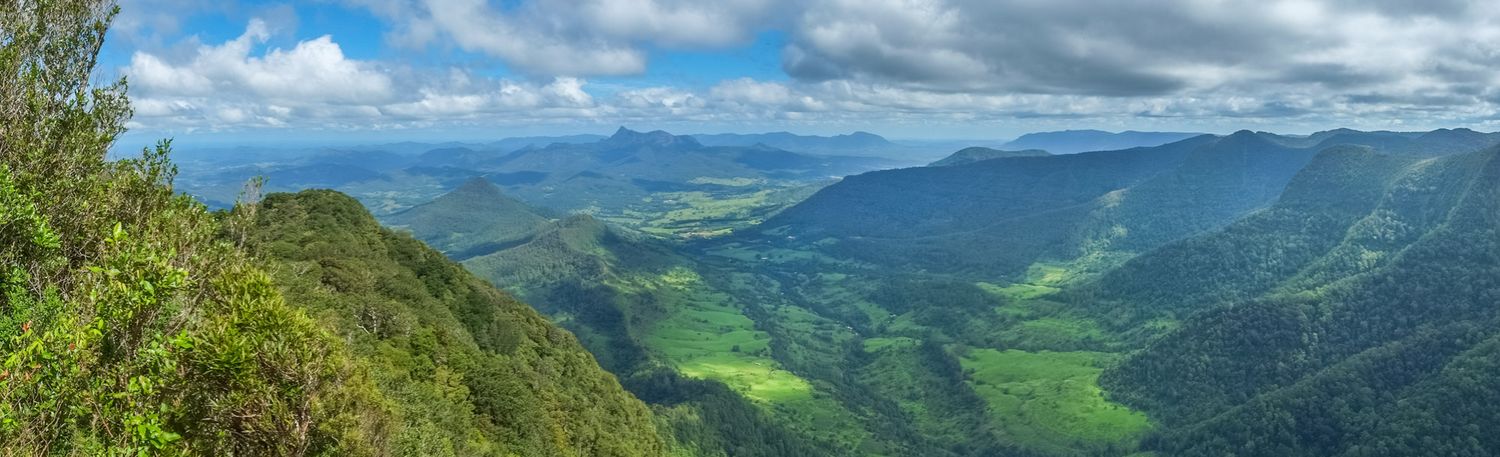 Panoramic view of lush green valley and mountains from elevated rainforest lookout point.