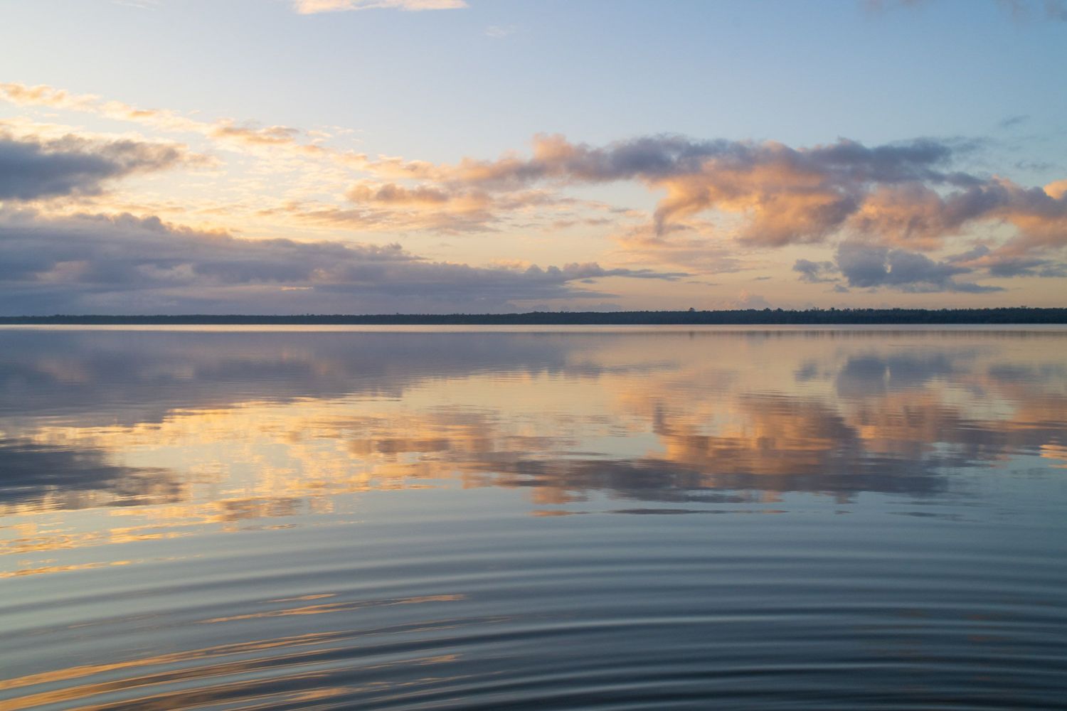 Soft pastel sunset clouds reflected on the still water of a peaceful lake at dusk.