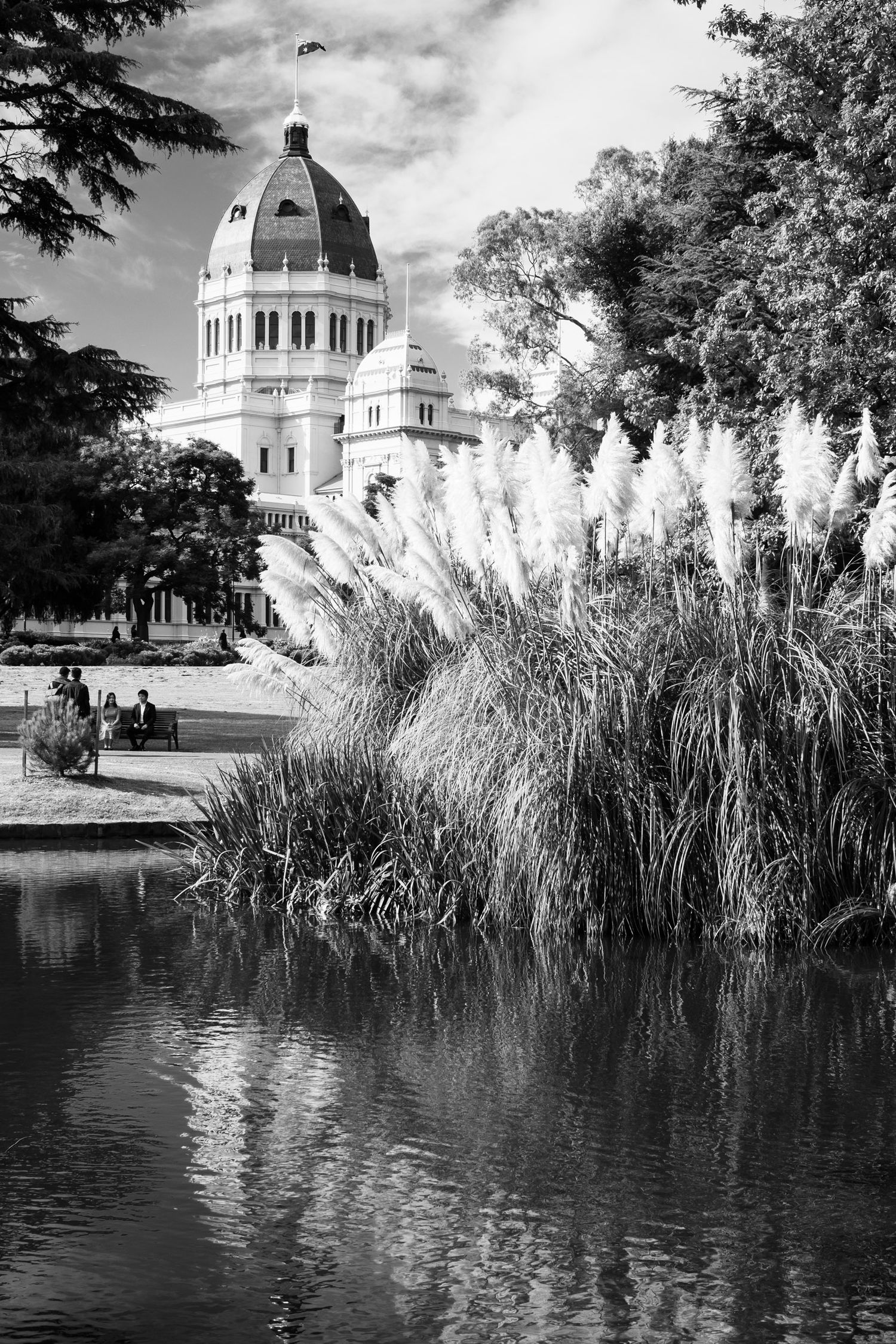Black and white photo of Royal Exhibition Building Melbourne with pampas grass reflecting in a tranquil pond.