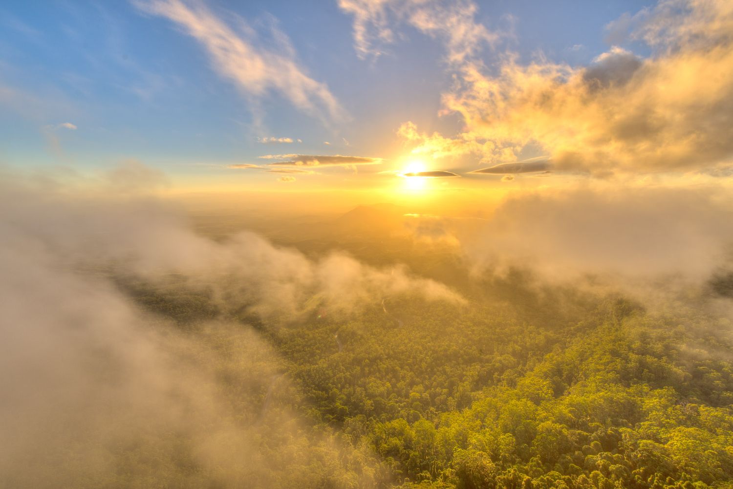 Aerial view of a lush green forest canopy at golden sunrise with dramatic low-lying clouds.