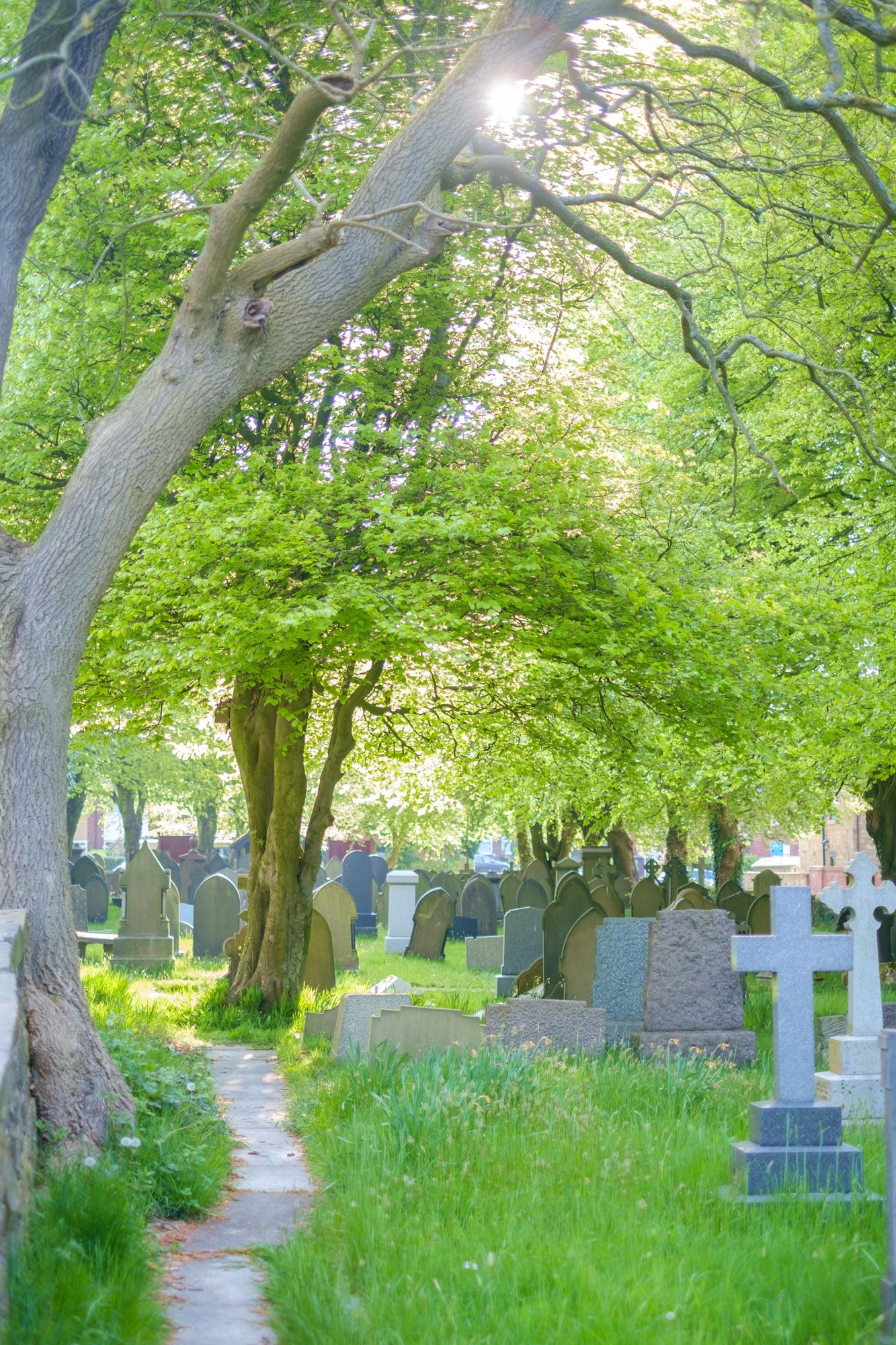 Sunlit historic cemetery with lush green trees casting dappled light over old stone grave markers.