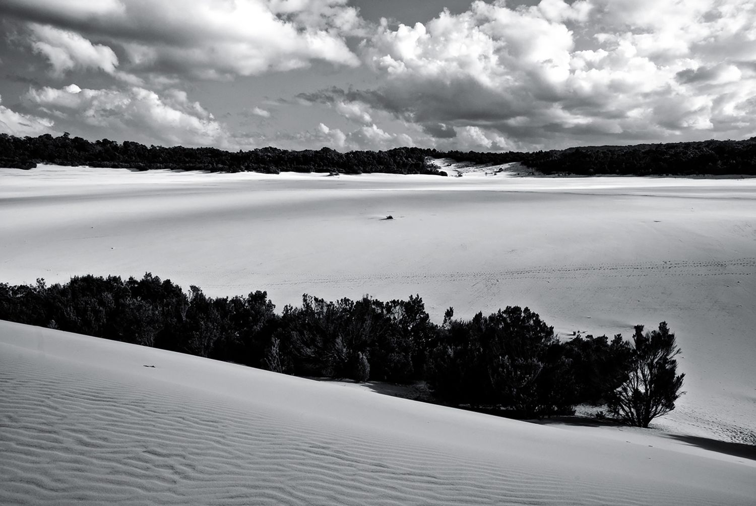 Black and white landscape of vast white sand dunes with sparse vegetation under dramatic cloudy sky.