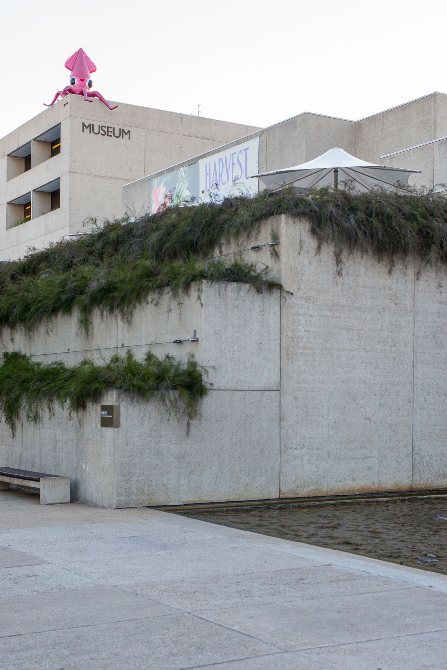 Queensland Museum exterior with concrete walls, cascading greenery, and a pink squid sculpture on roof.