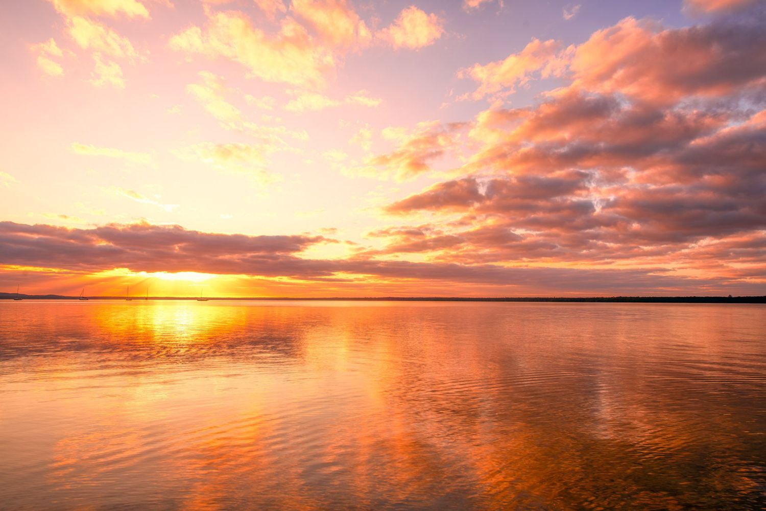 Vibrant golden sunset over a calm lake with pink and orange clouds reflected on the water surface.