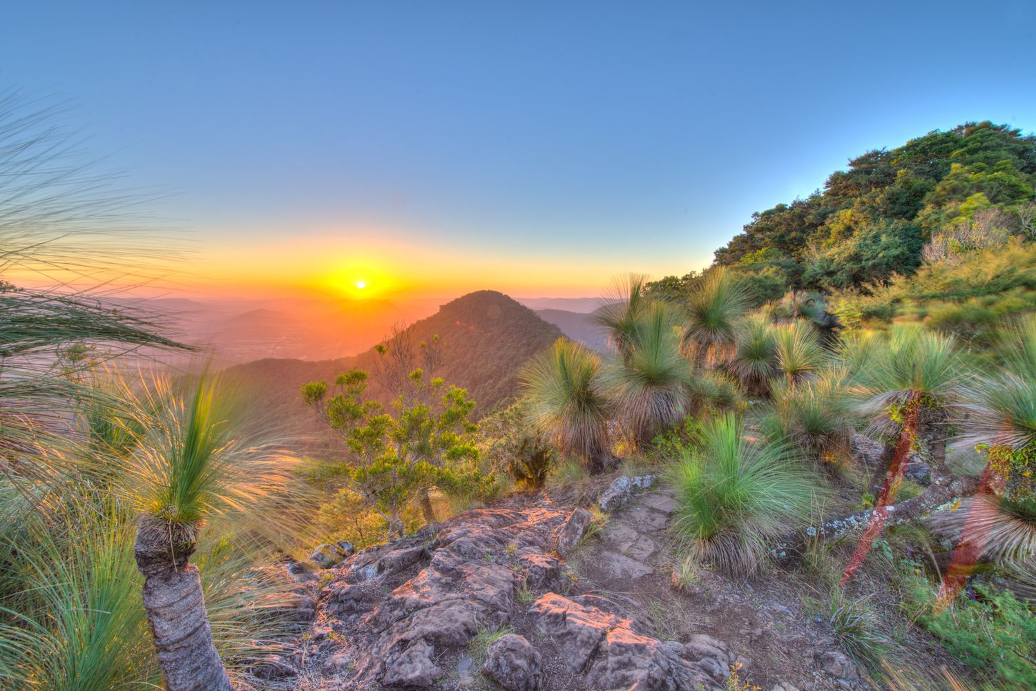 Vibrant HDR sunset over a mountain summit with native grass trees and rolling hills in Queensland.