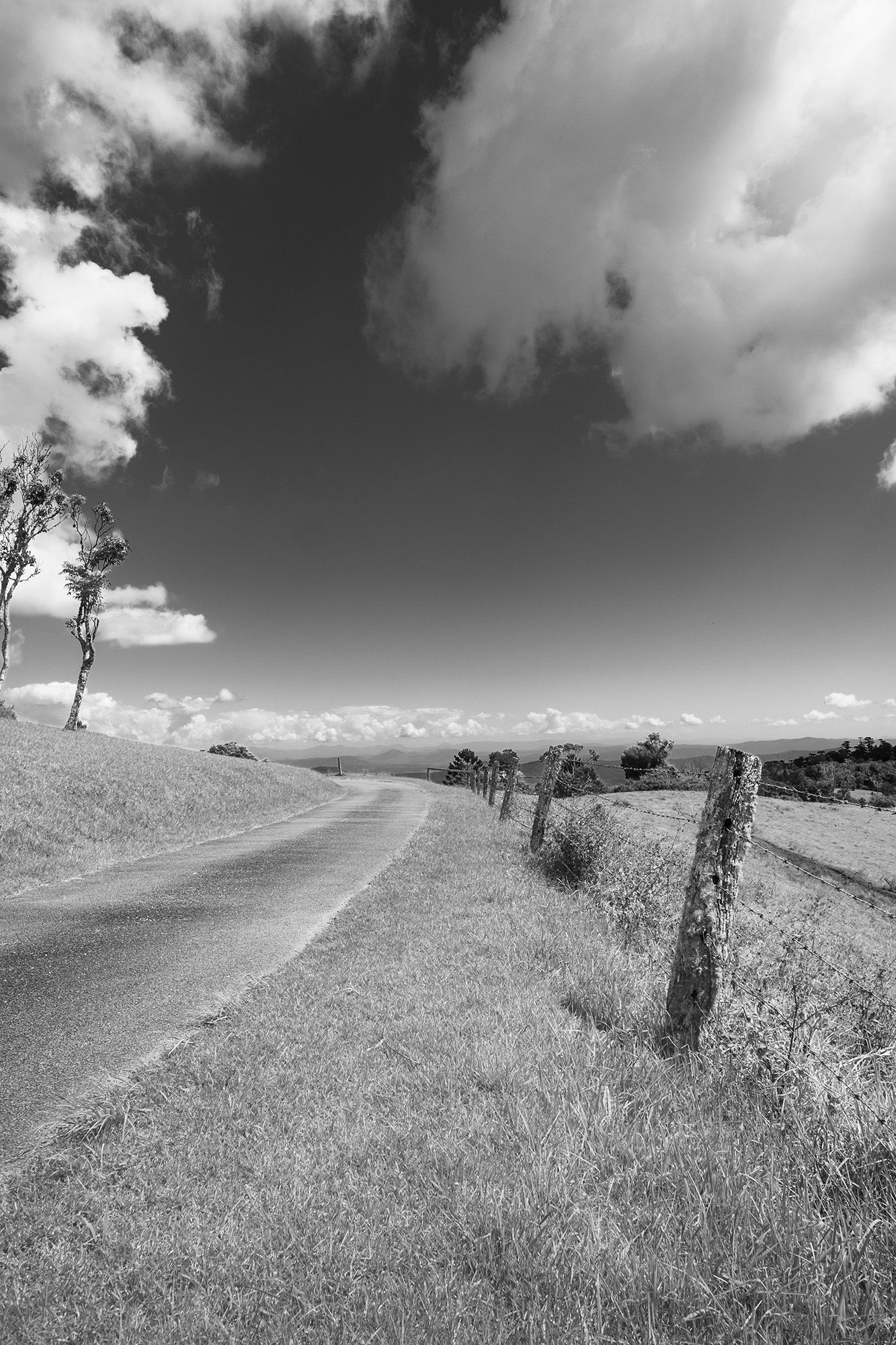 Black and white rural road with fence posts, trees, and dramatic cloudy sky.