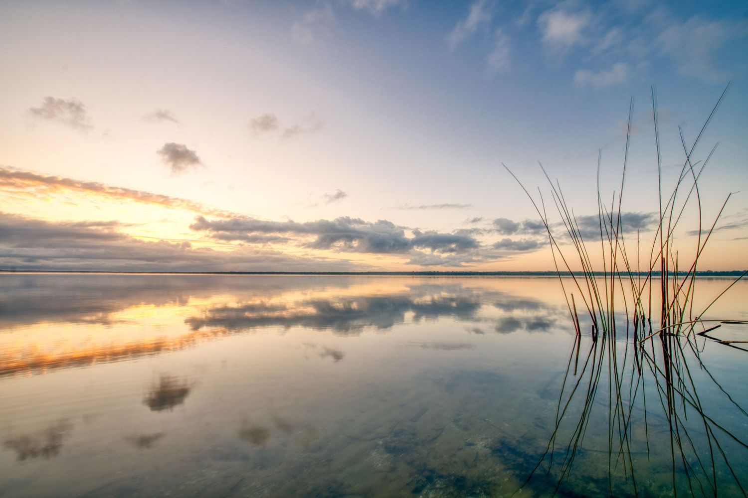 Tranquil lake at sunset with reeds reflecting colorful clouds in perfectly still mirror-like water.