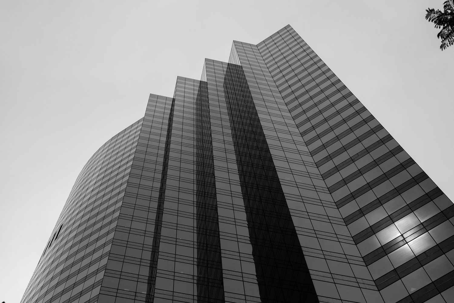 Black and white low-angle shot of a tall glass skyscraper towering against a pale sky.