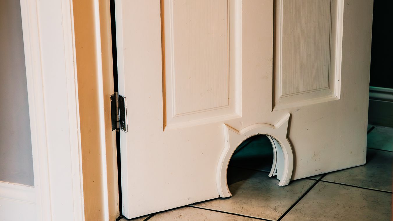 Small arched cat opening built into the bottom of an interior door