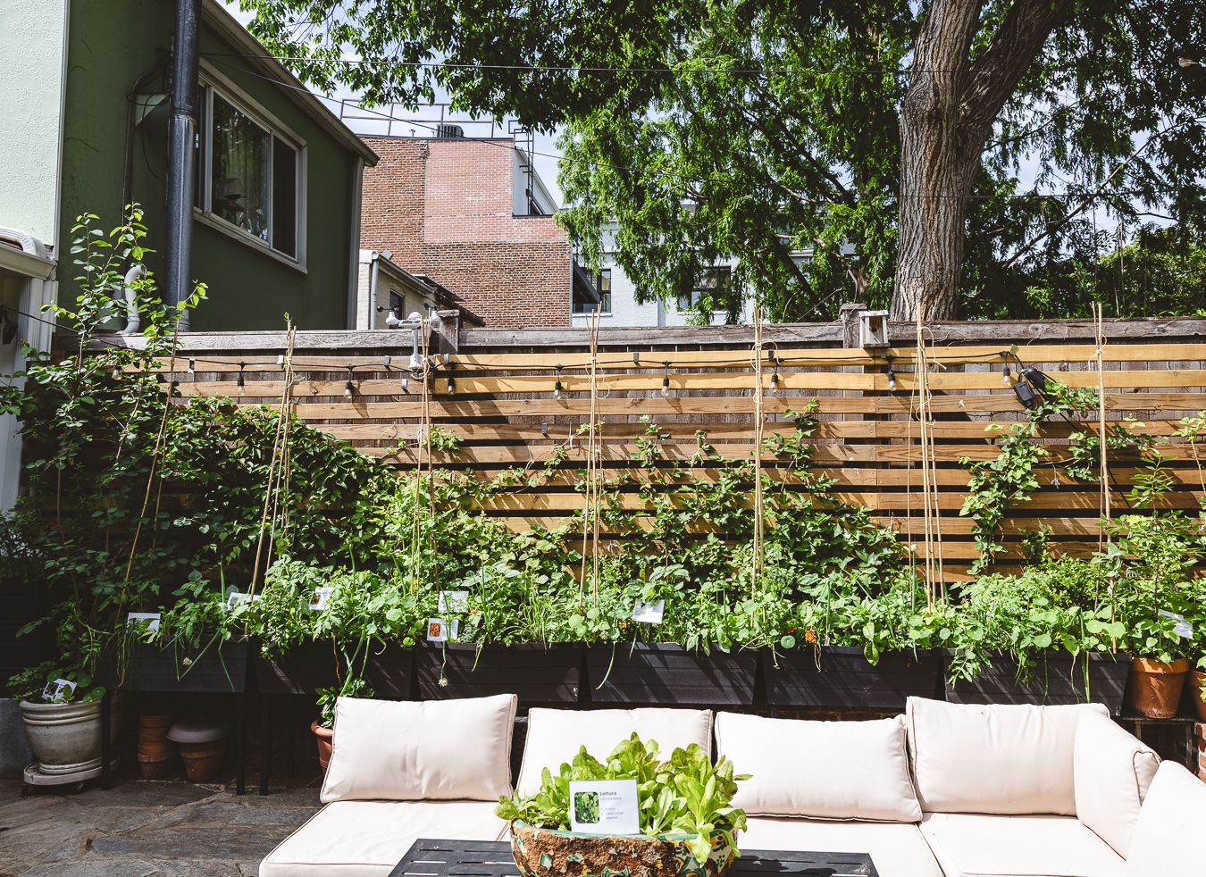 Outdoor patio seating overlooking a landscaped residential garden
