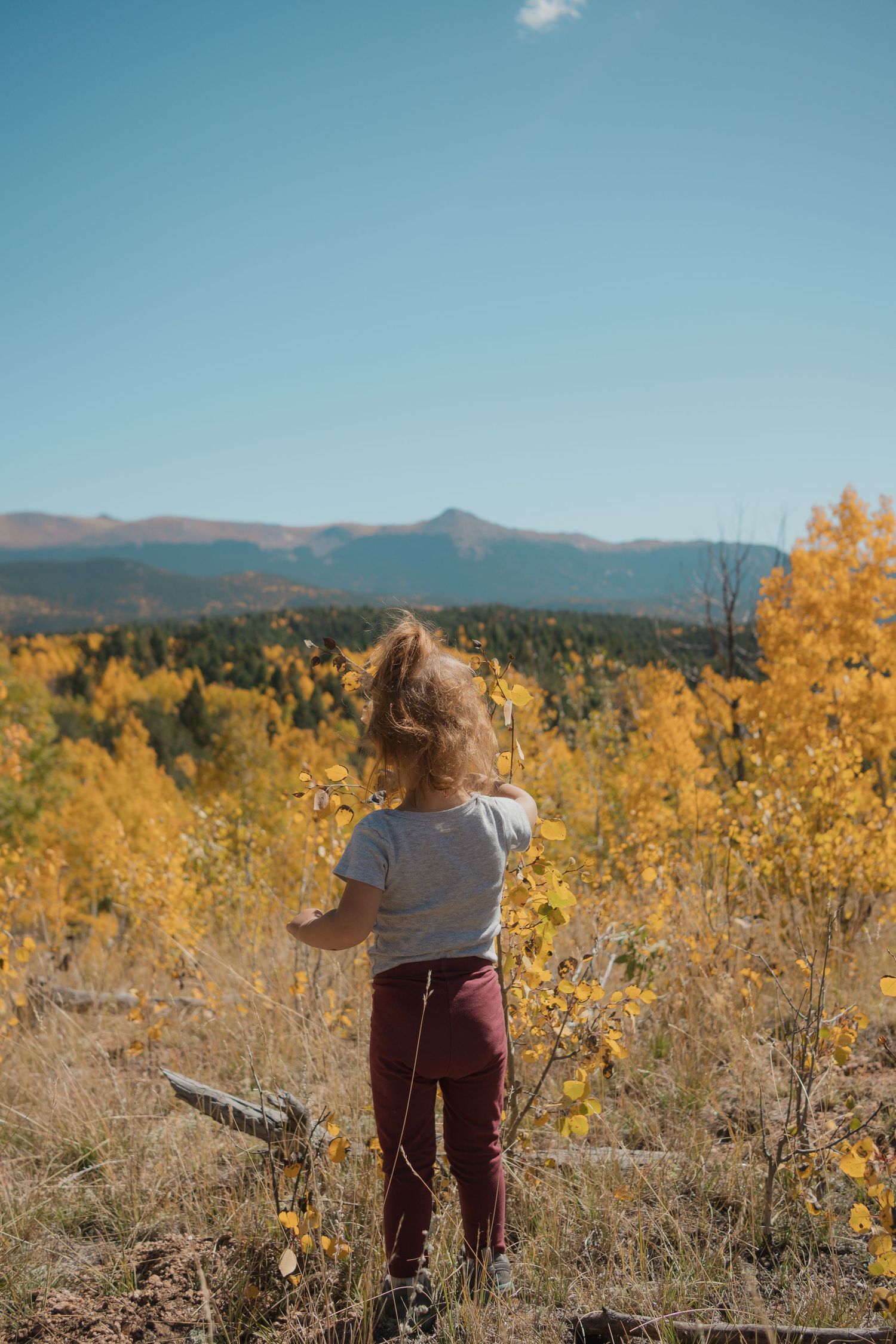 fall photo