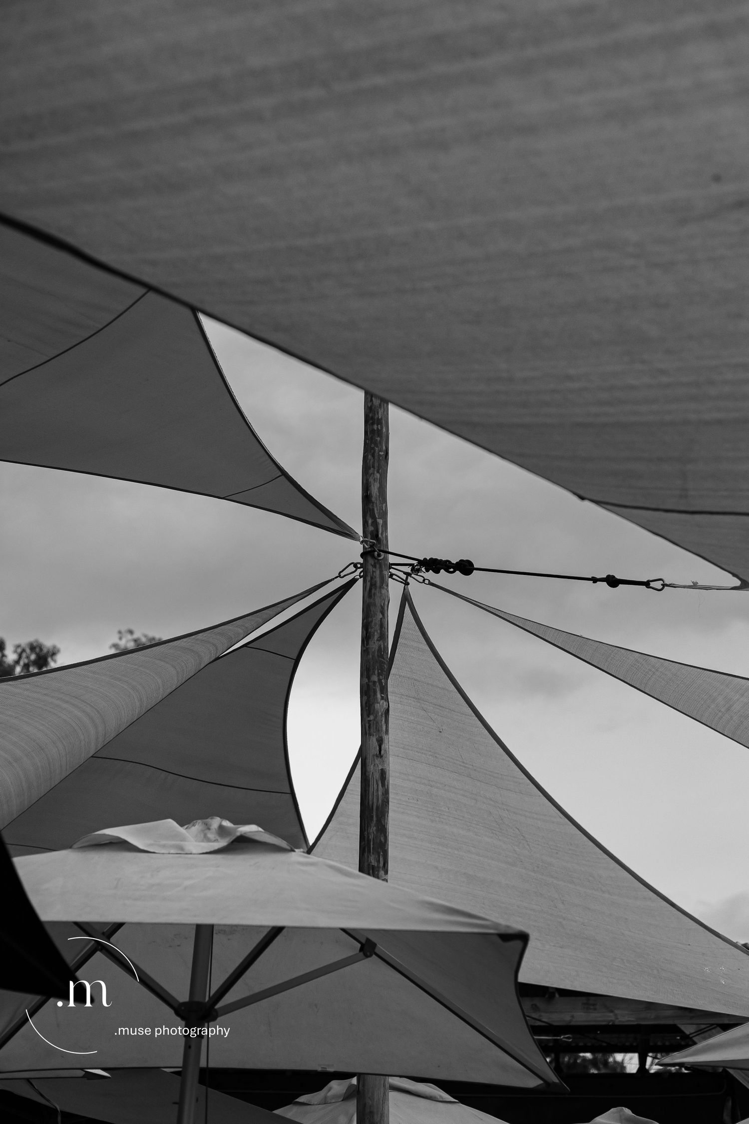 Abstract architectural canopy structures in black and white