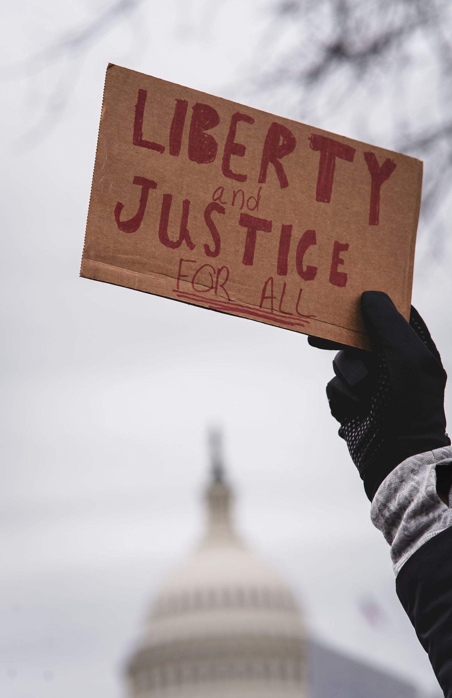 Protest sign reading 'Liberty and Justice for All' held up with US Capitol dome in background.