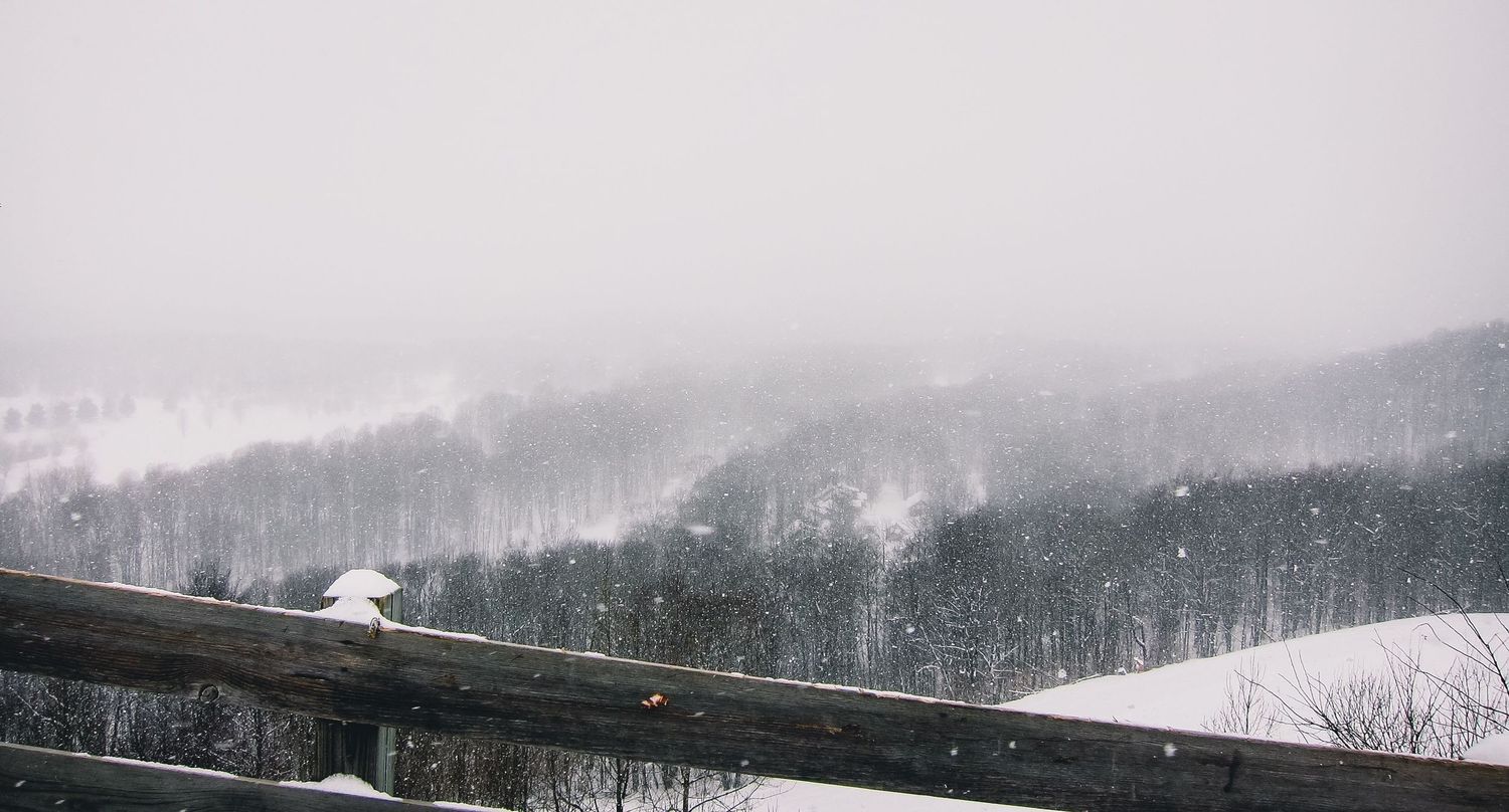 Minimalist winter landscape with snow-covered trees and mountains in foggy conditions.