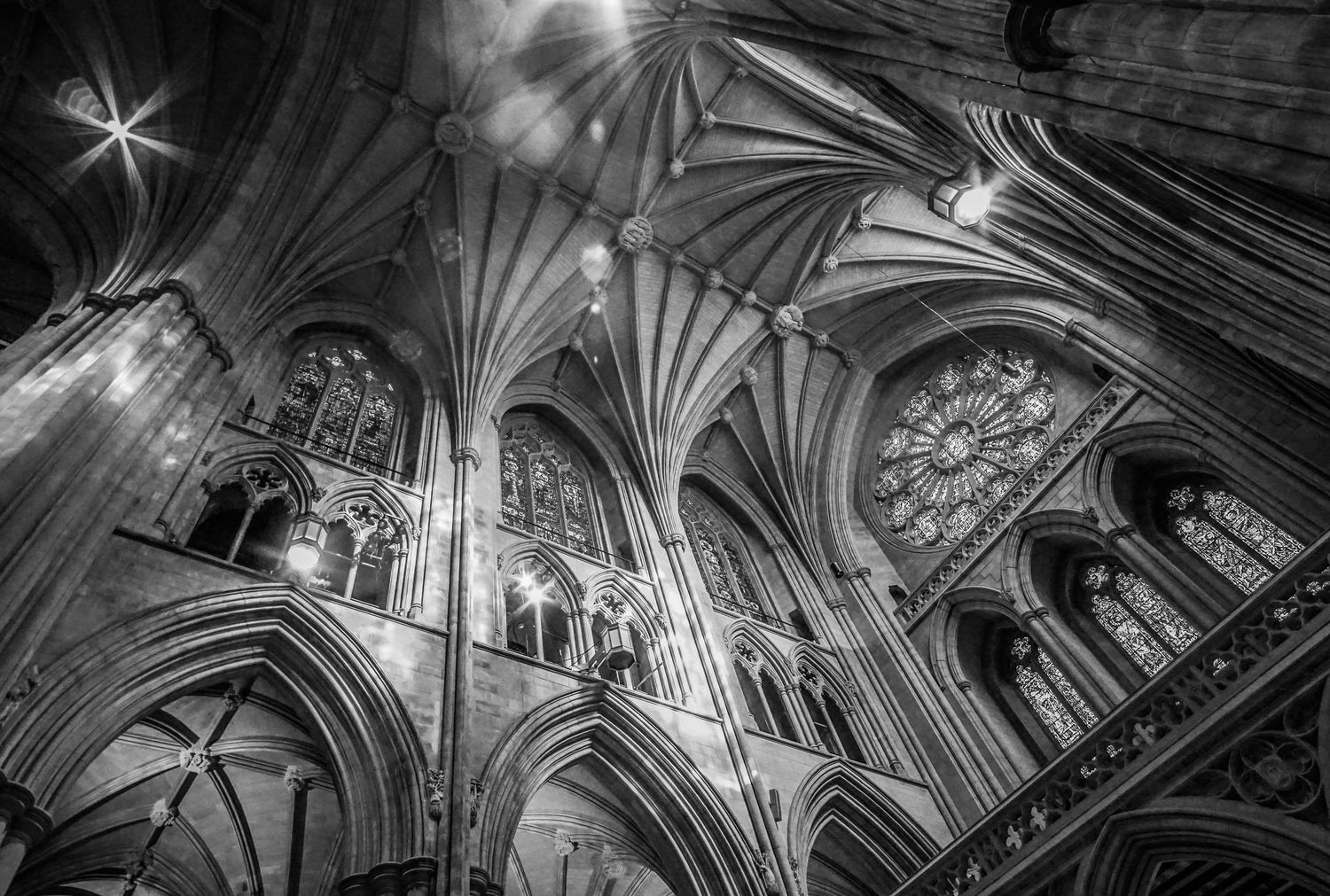 Dramatic black and white cathedral ceiling with ornate Gothic architectural details.