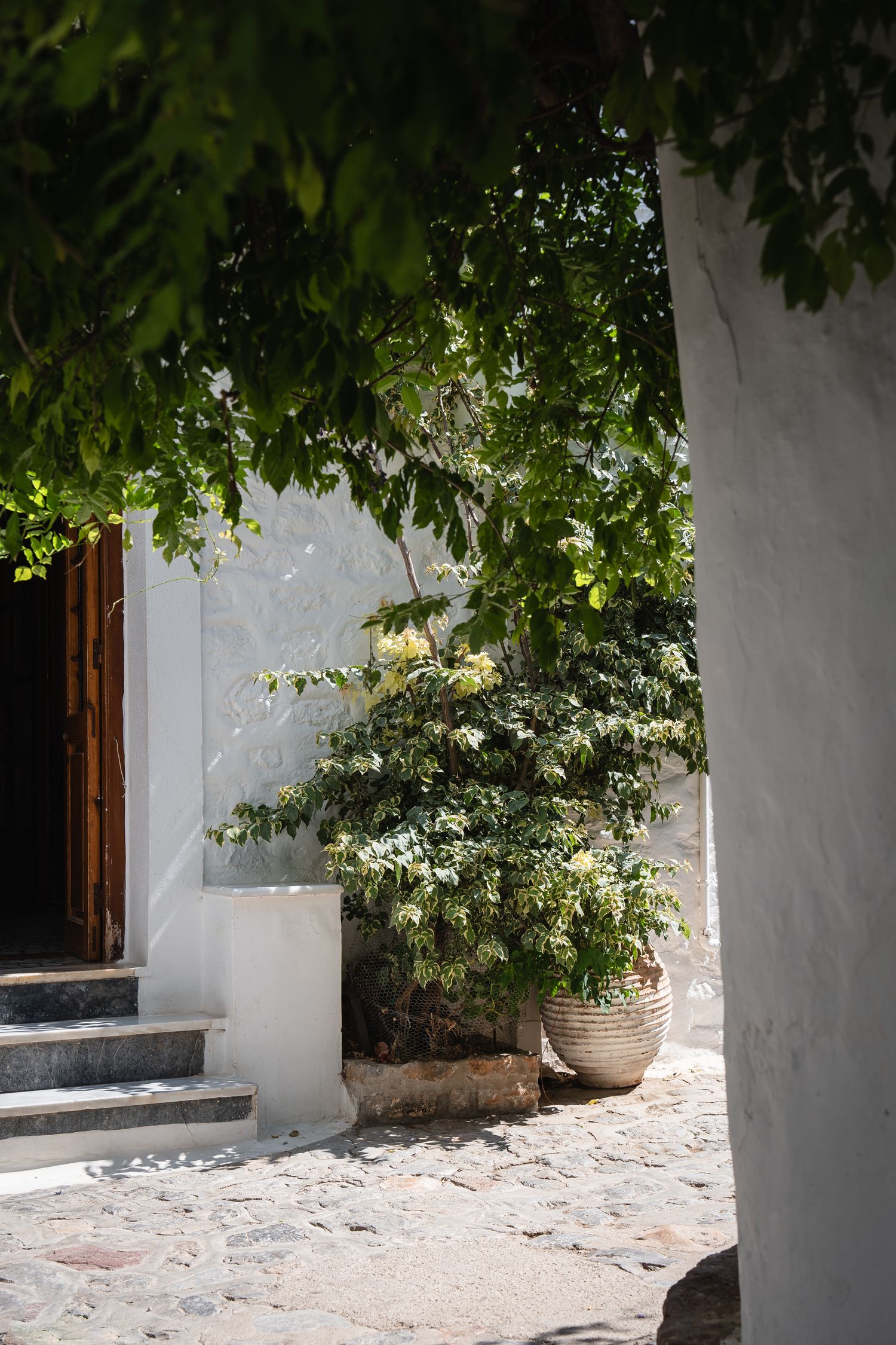 White Mediterranean courtyard with potted plants and dappled sunlight through tree canopy.