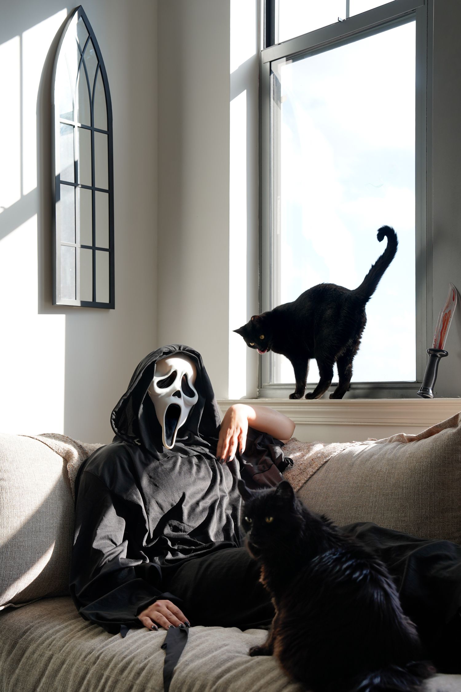 Someone in a Scream mask relaxes on a couch while cats explore the sunny room.