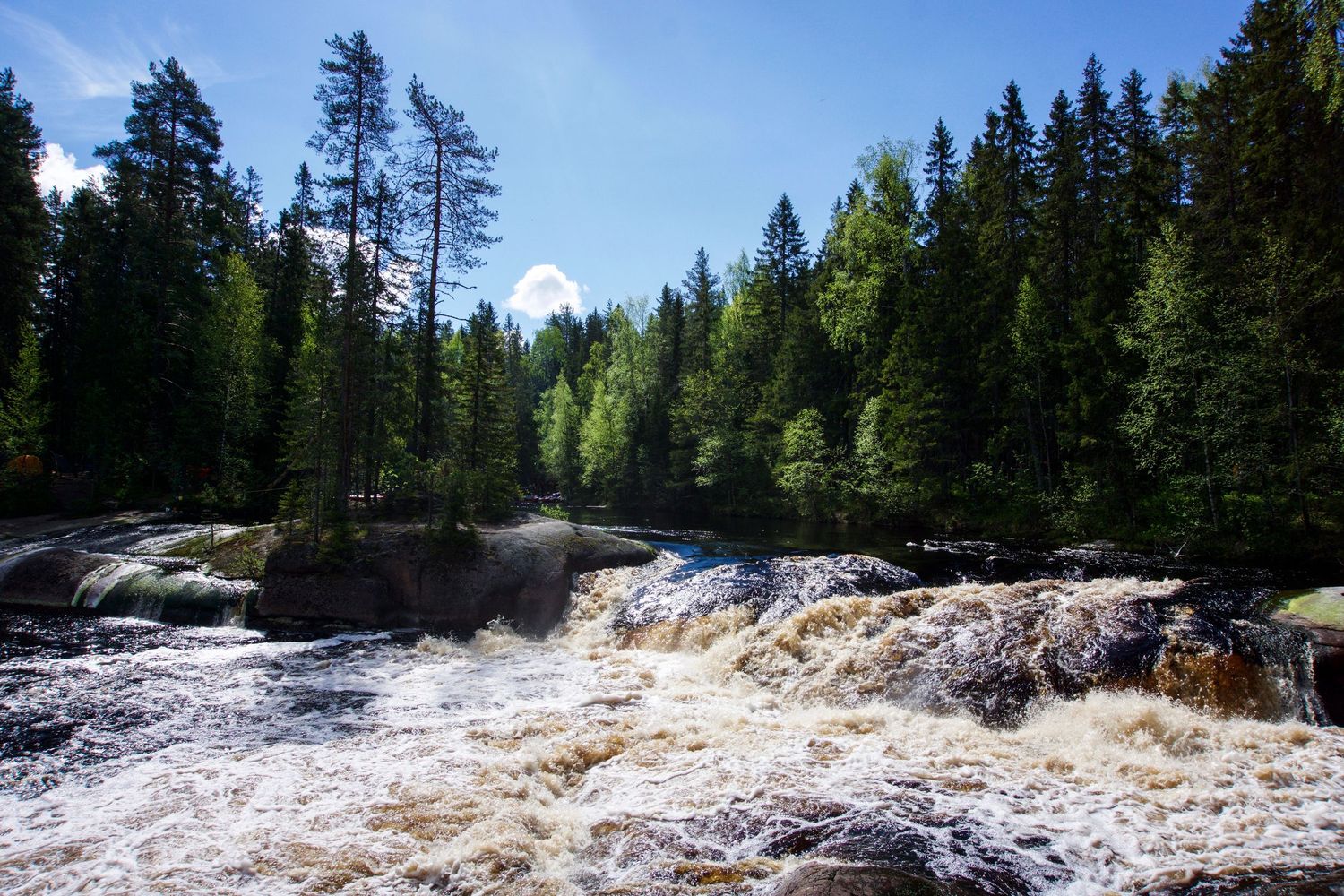 Powerful rushing waterfall cascades through evergreen forest under bright blue sky.