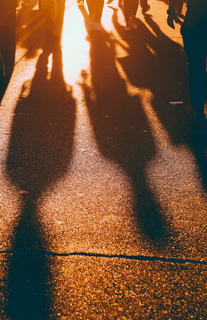 Long shadows cast on wet pavement during golden hour create an atmospheric street scene.
