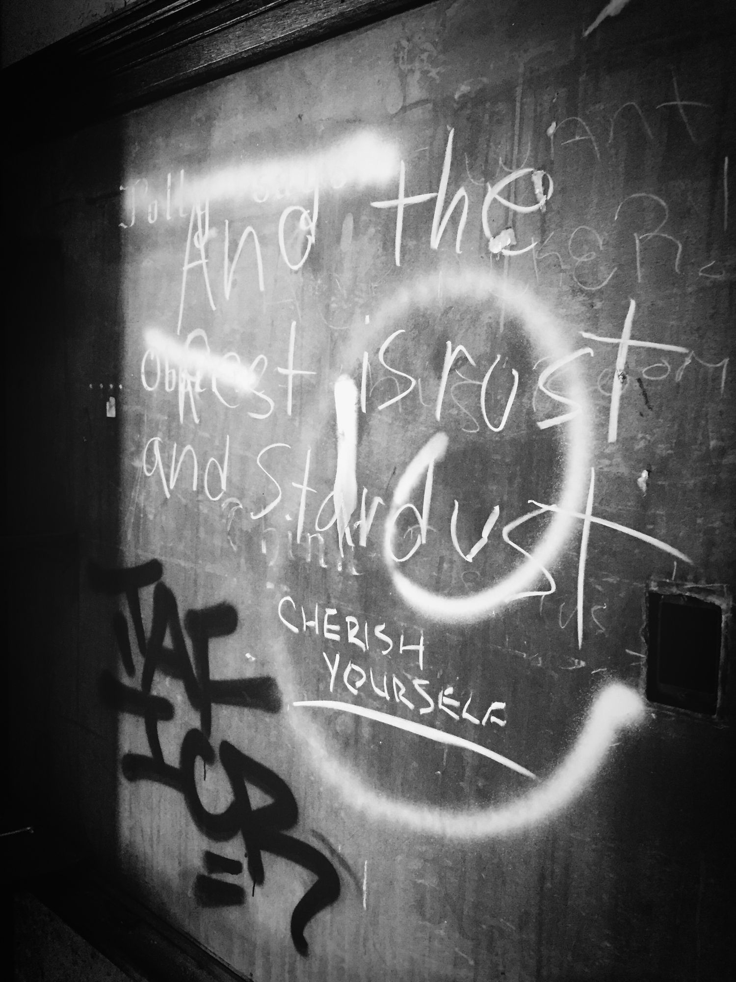 Black and white graffiti on a wall with text reading 'and the rest is rust and stardust' and other phrases.