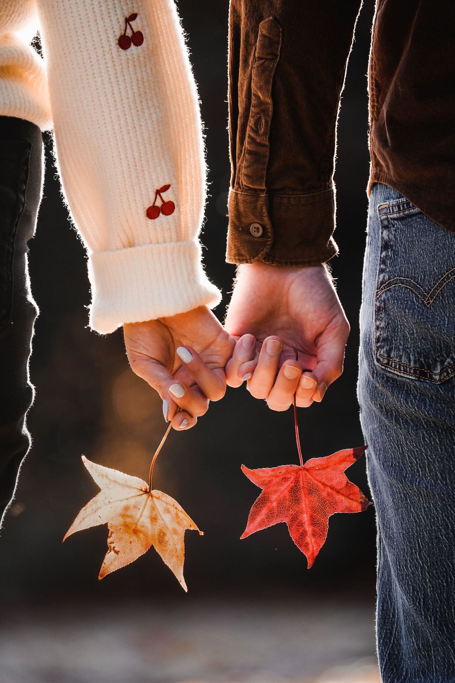 Hands holding colorful autumn maple leaves against a dark background.