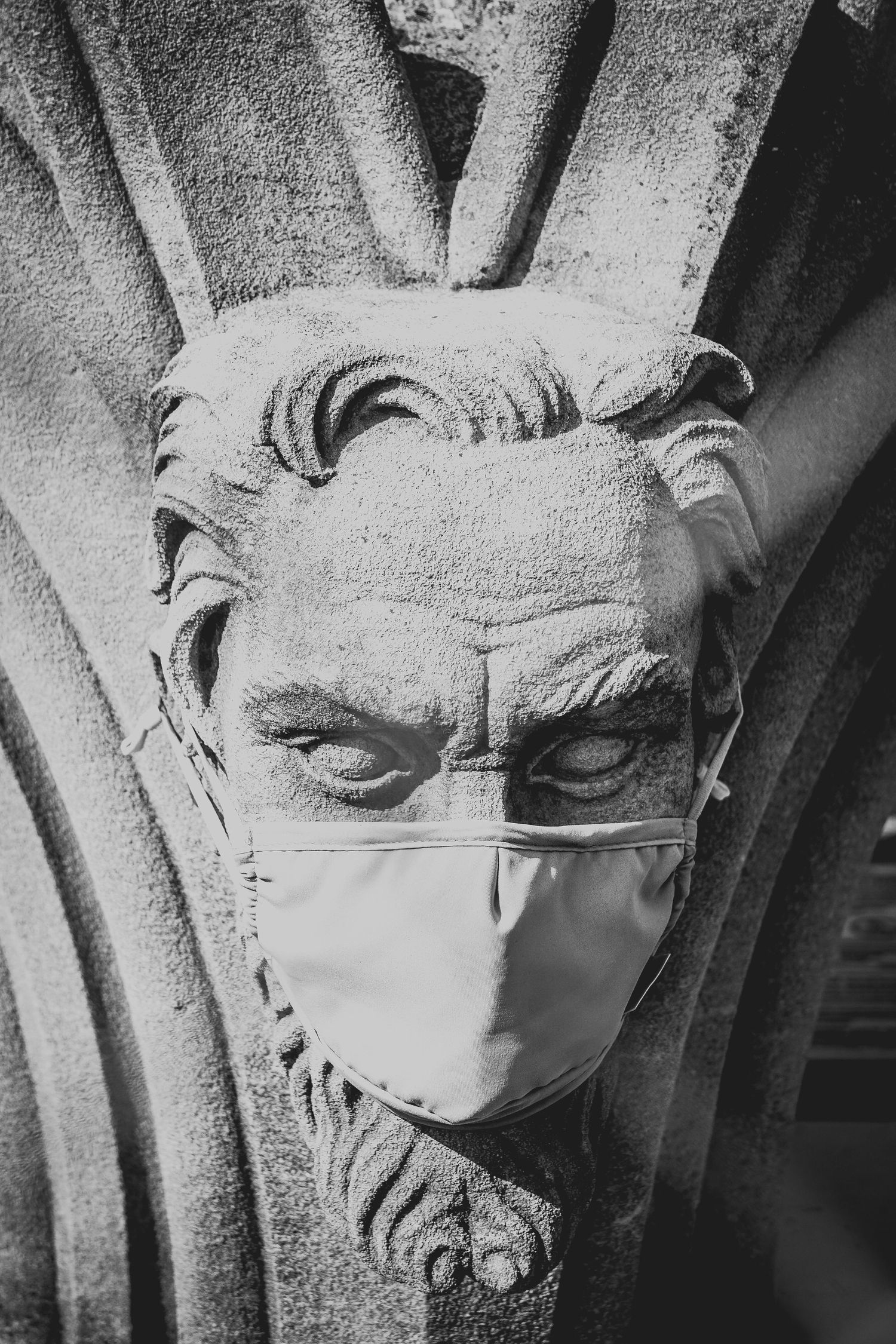 Stone gargoyle sculpture wearing a protective face mask in black and white.