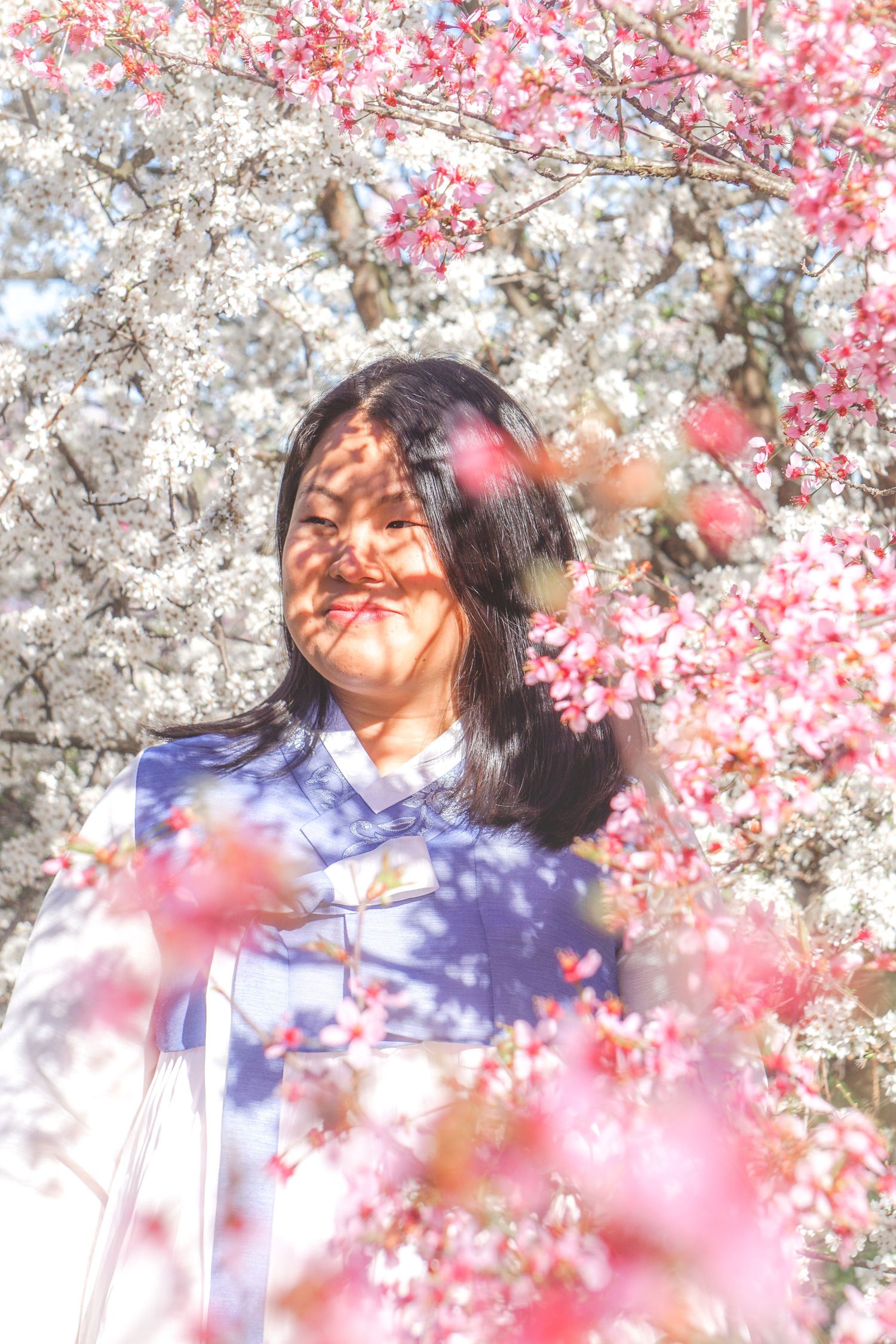 Cherry blossoms frame a romantic spring portrait session.