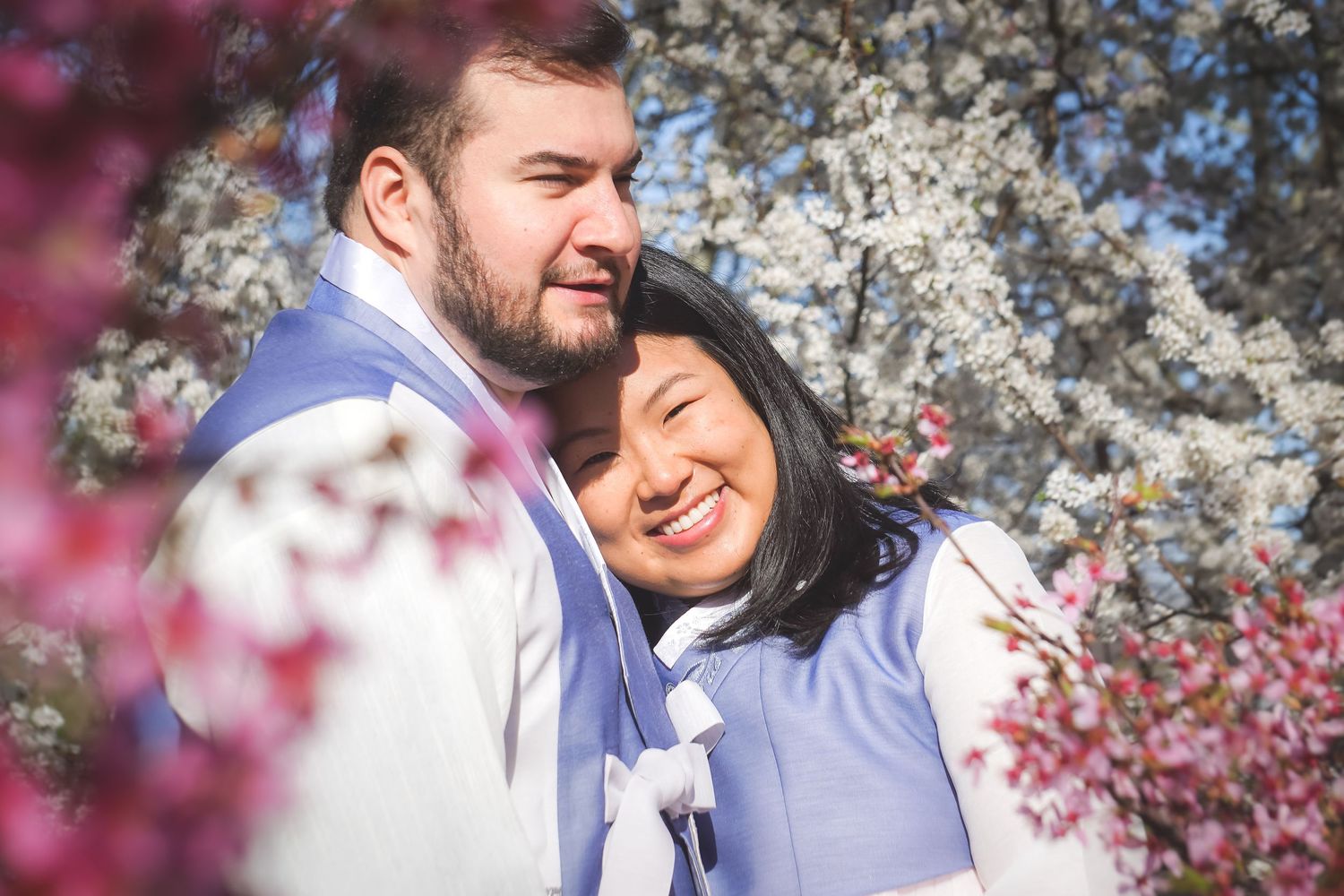 A romantic moment captured beneath blooming cherry blossom trees in springtime.