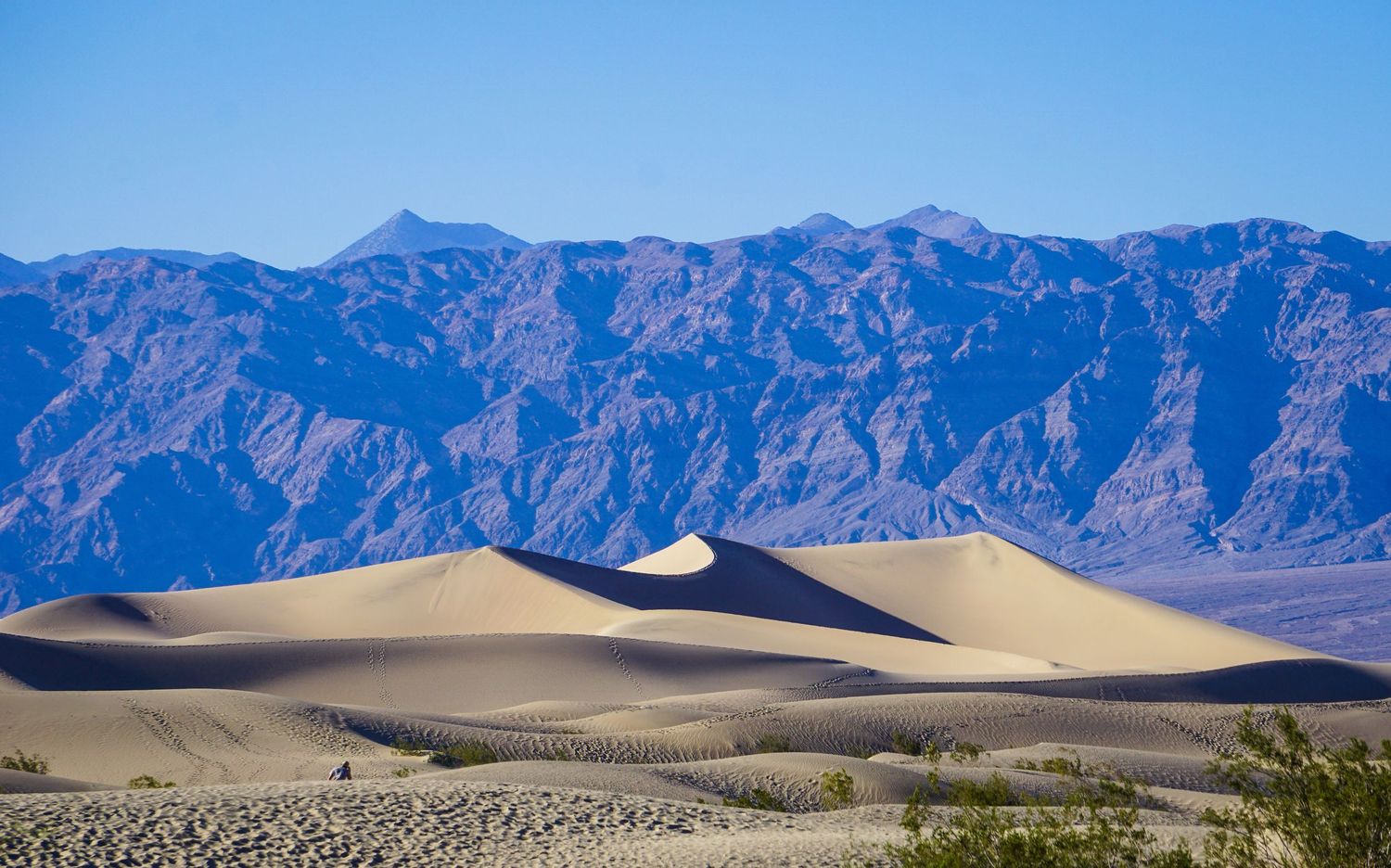 Rippling sand dunes contrast against purple mountain ranges in Death Valley National Park.