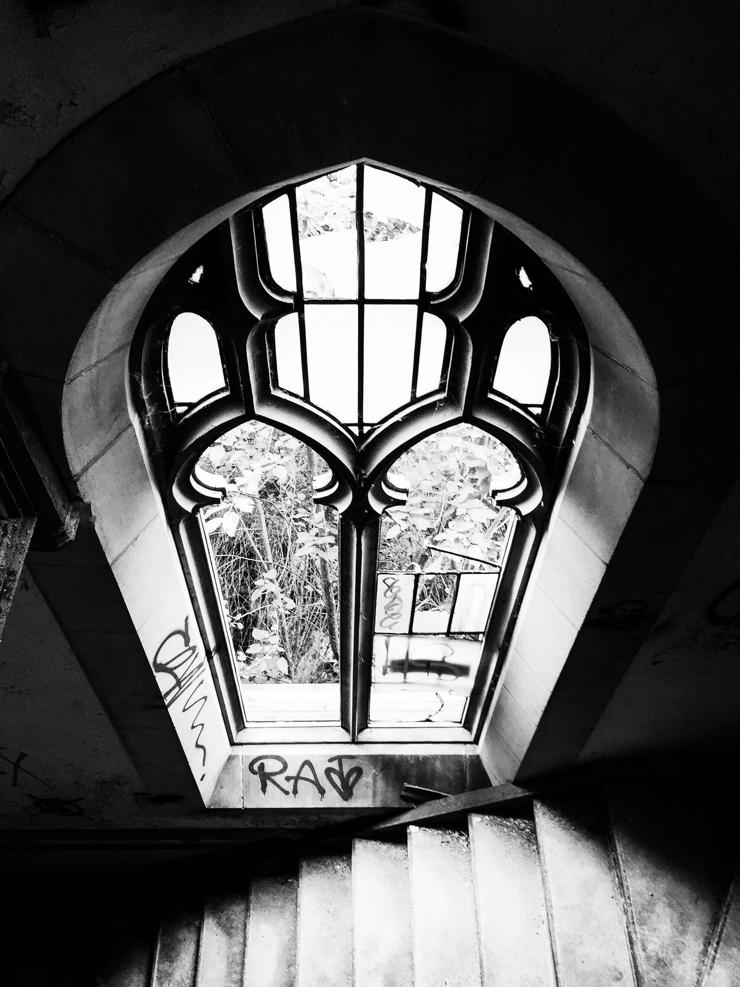 Gothic-style arched windows in black and white with dramatic lighting.