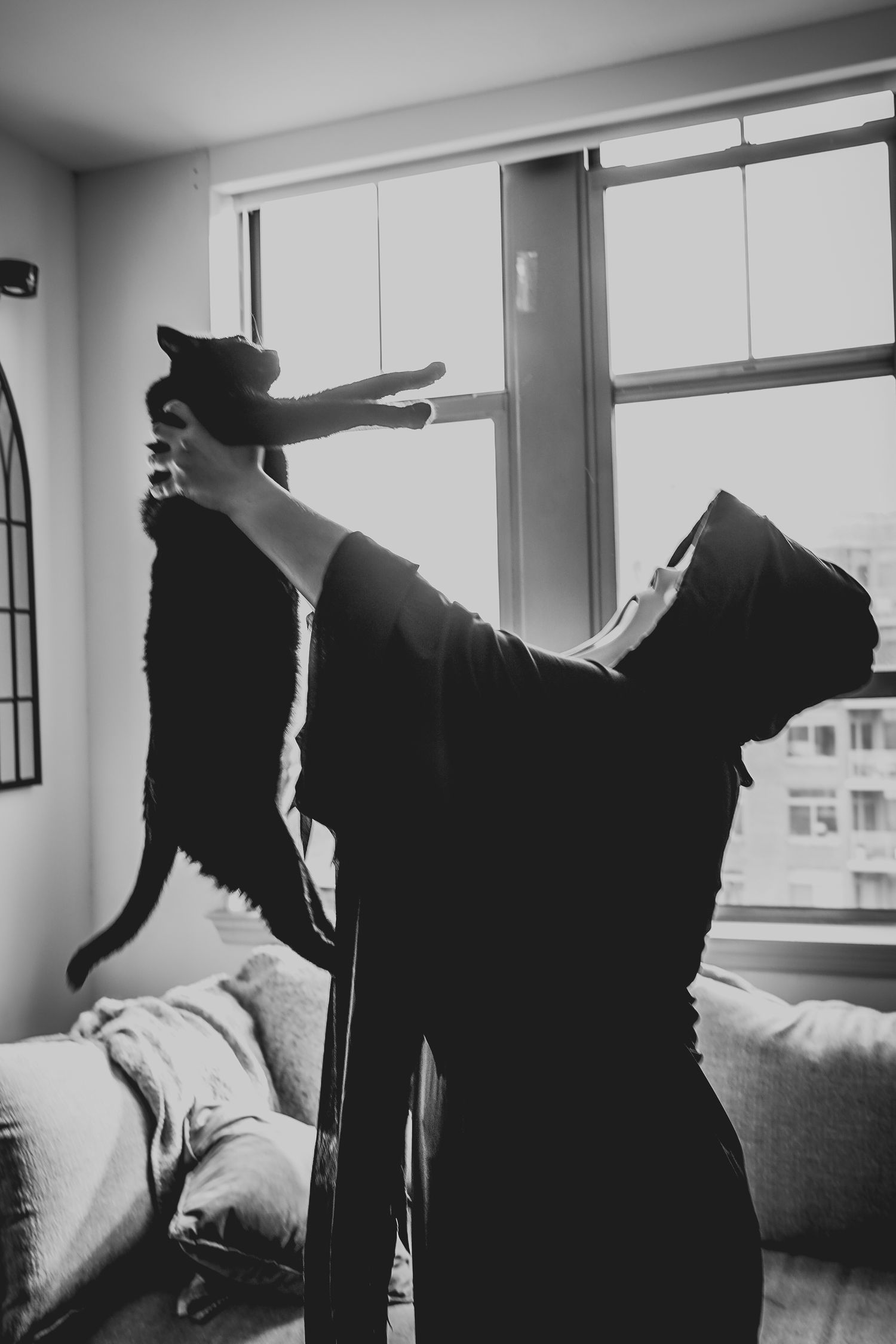 A silhouette of someone in a dark robe holding up a black cat against a bright window.