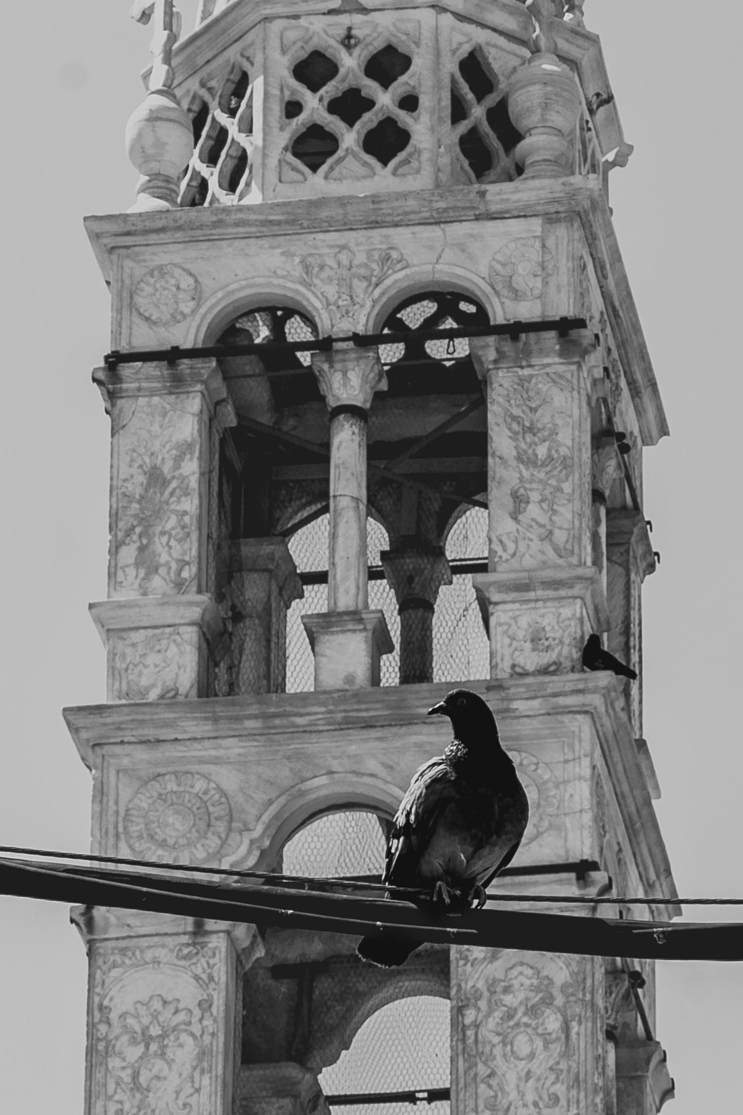 Black birds perched on wire against ornate church bell tower in black and white.