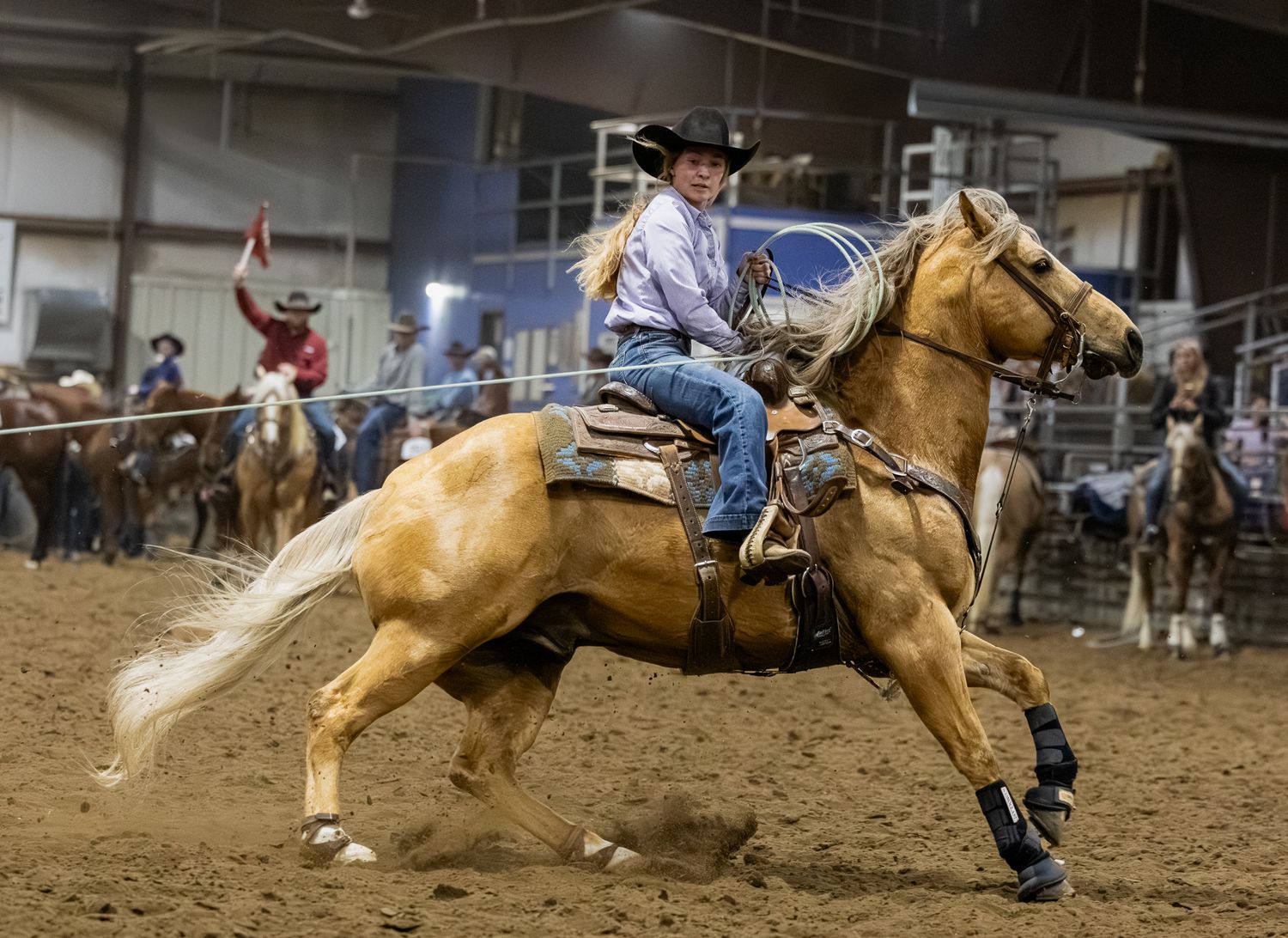 Showcasing some of the AQHA stallions in heading at the horse show.