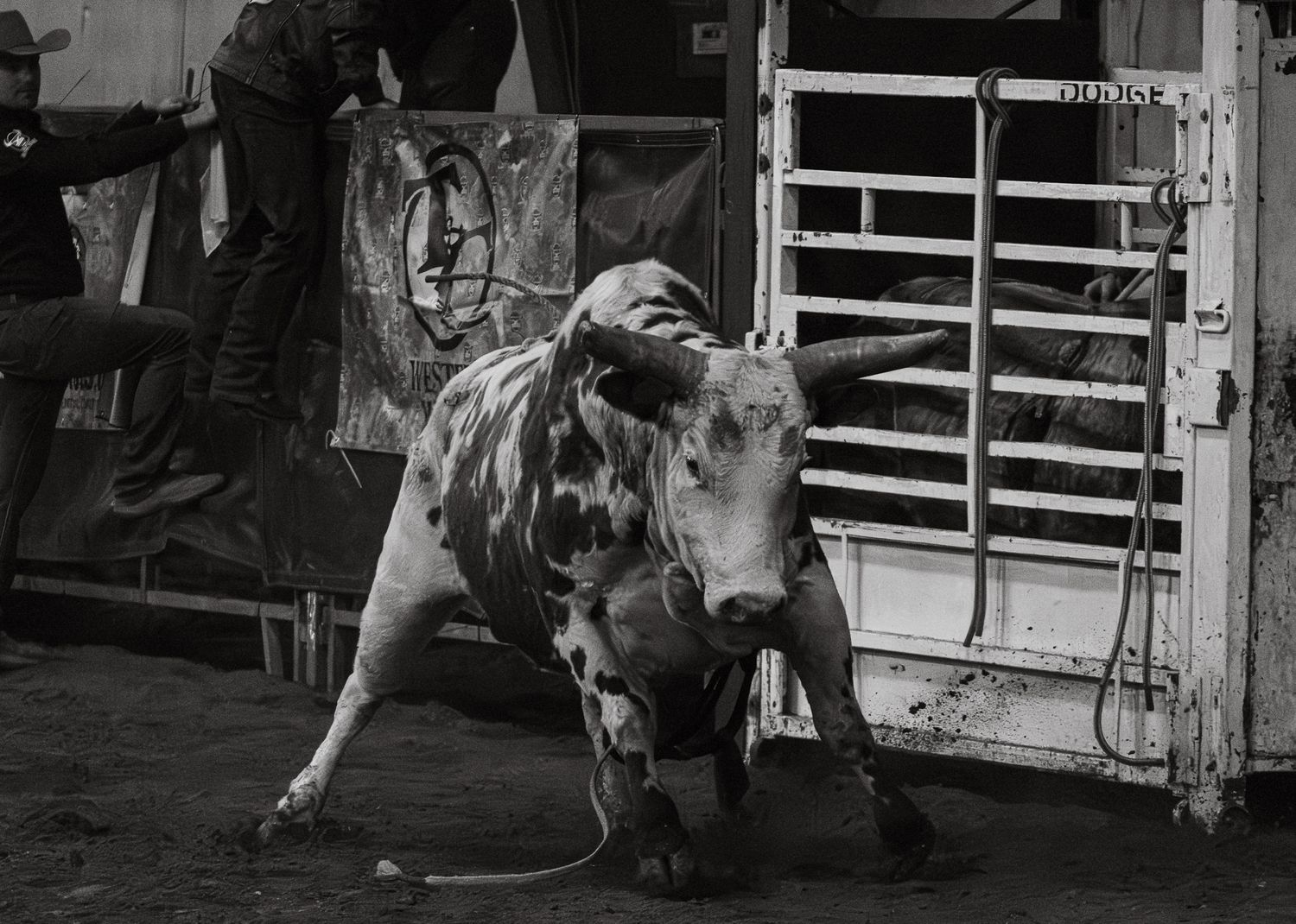 Rodeo action!  Never a dull moment in the bull riding.