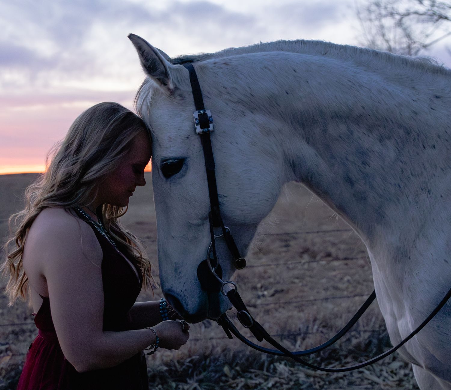 Horse and rider sunset magic.