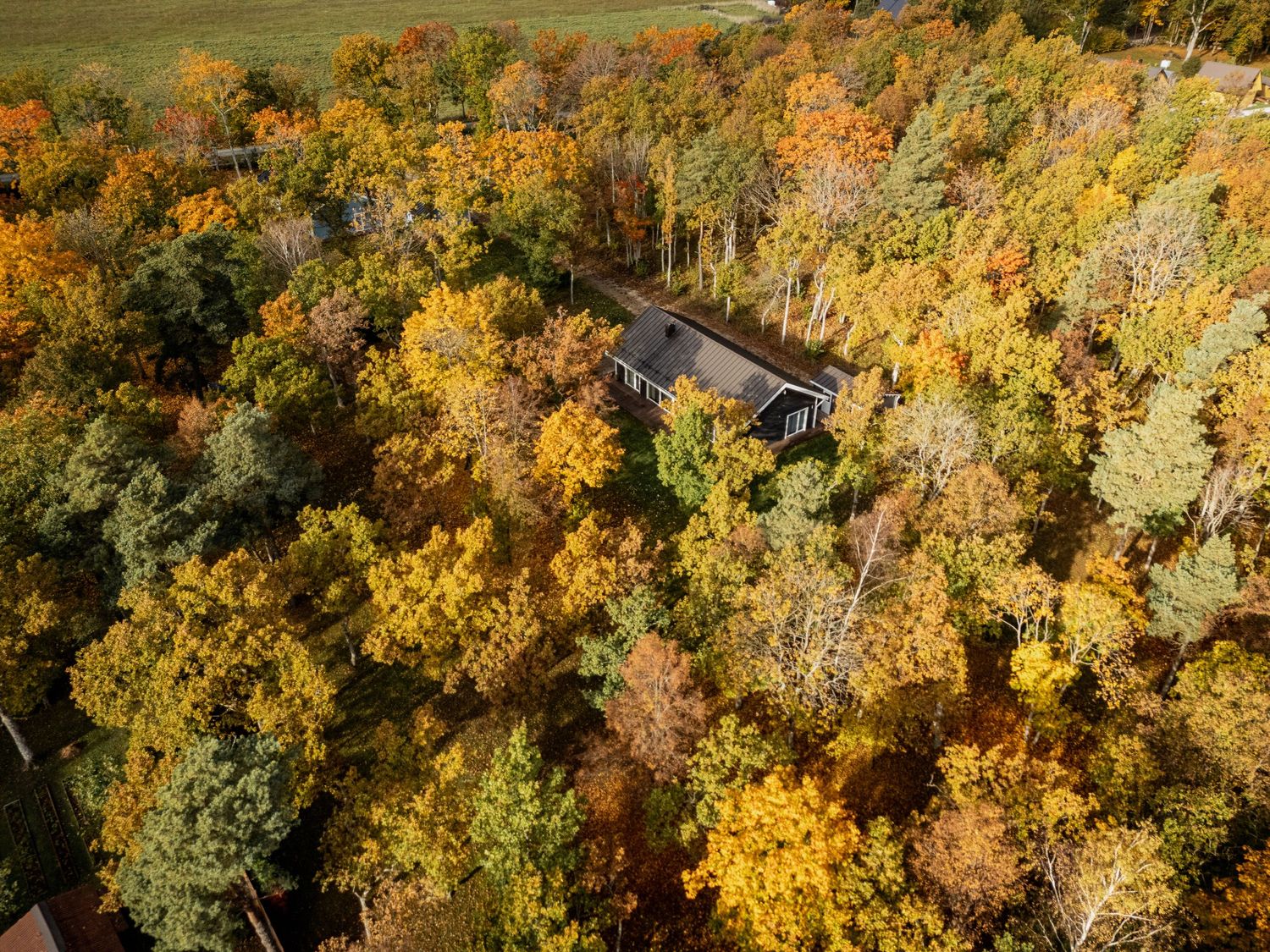 Aerial view of a cabin nestled among vibrant autumn foliage with yellow, orange, and green trees.
