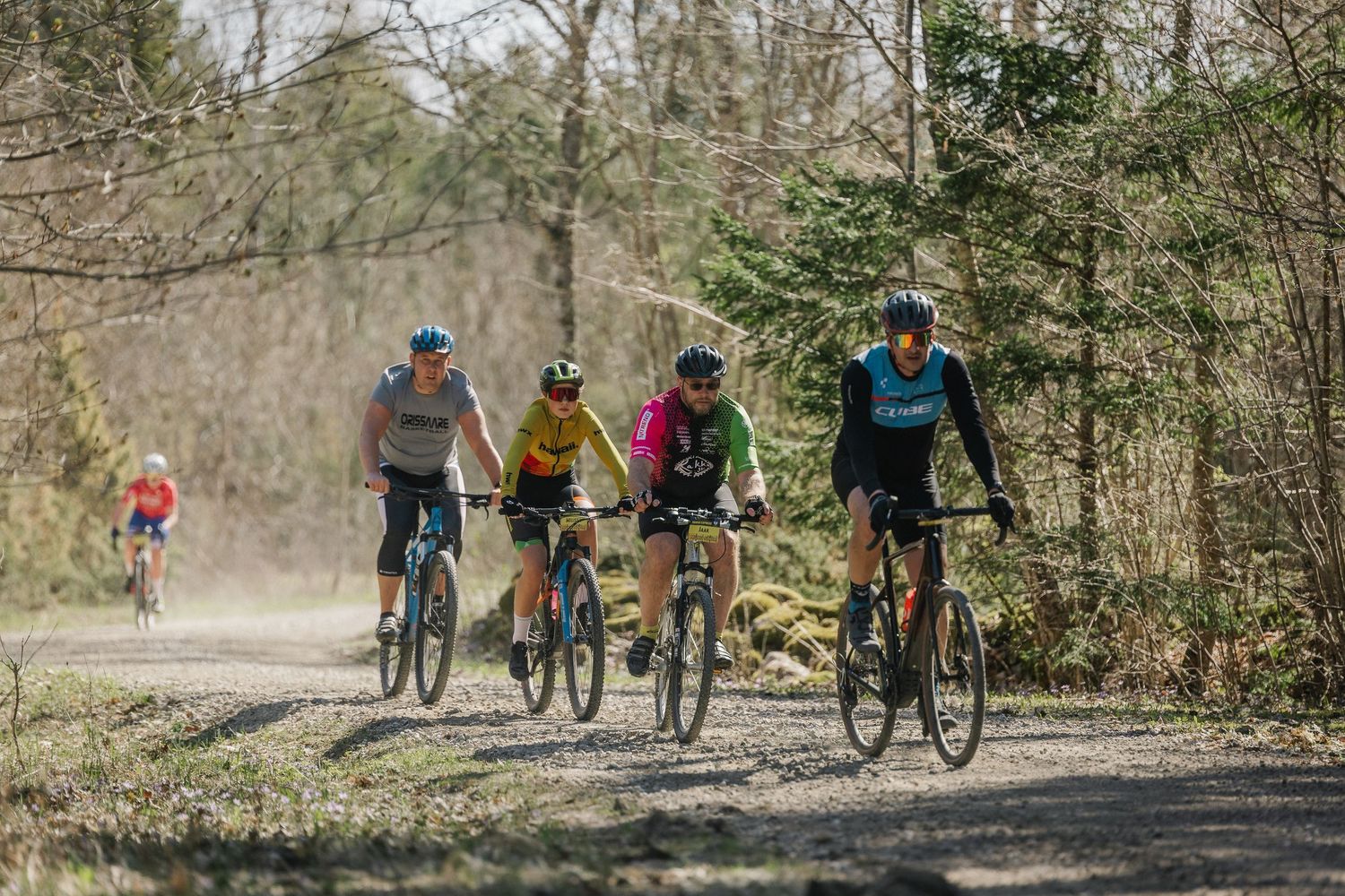 Four cyclists ride along a gravel forest path on mountain bikes during a sunny spring day.