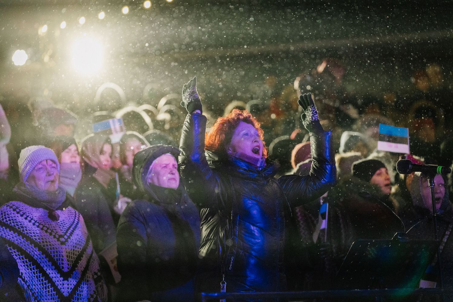 Crowd of people celebrating outdoors at night in snowy weather, waving Estonian flags under bright stage lights.