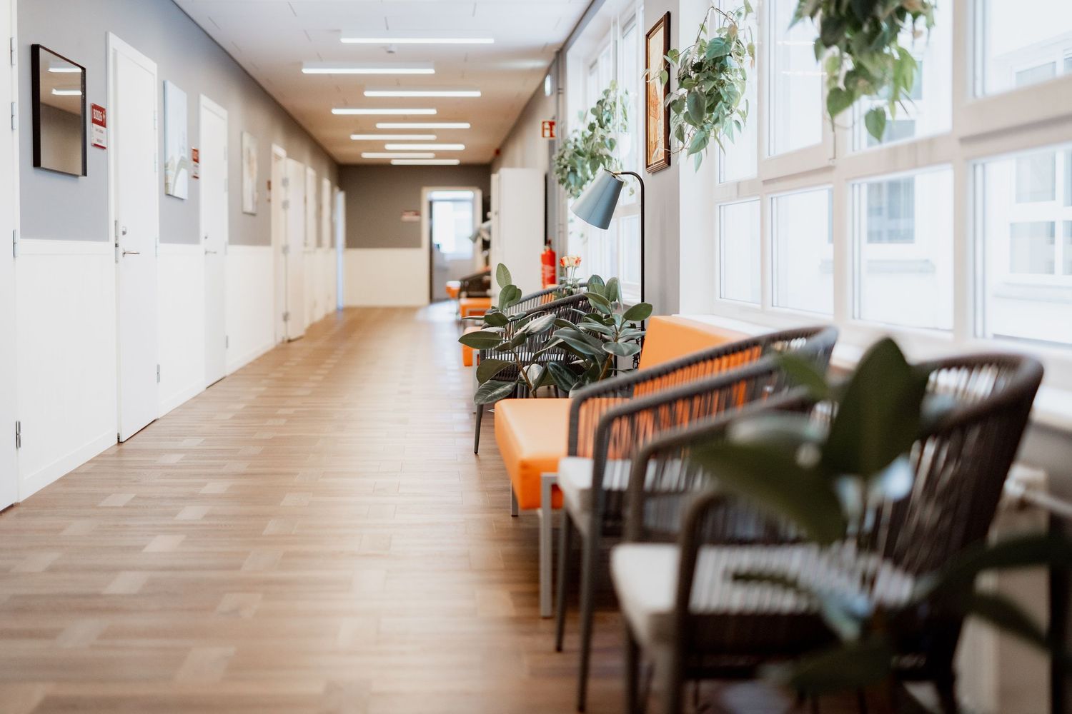 Modern office hallway with orange seating, lush plants, wooden floors, and natural light from large windows.