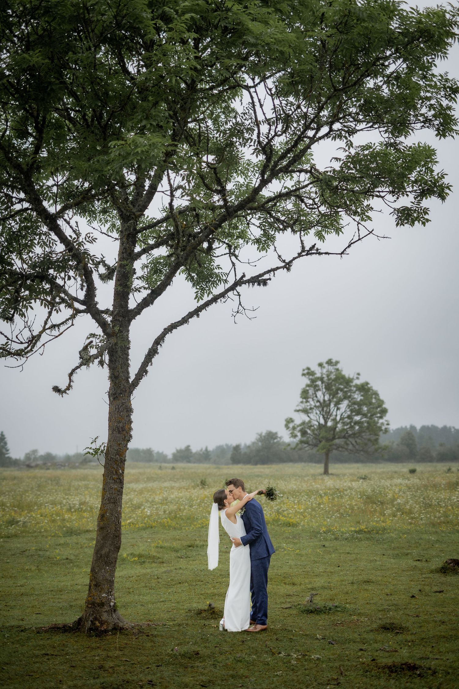 Bride and groom share a romantic kiss under a lone tree in a lush green field on their wedding day.