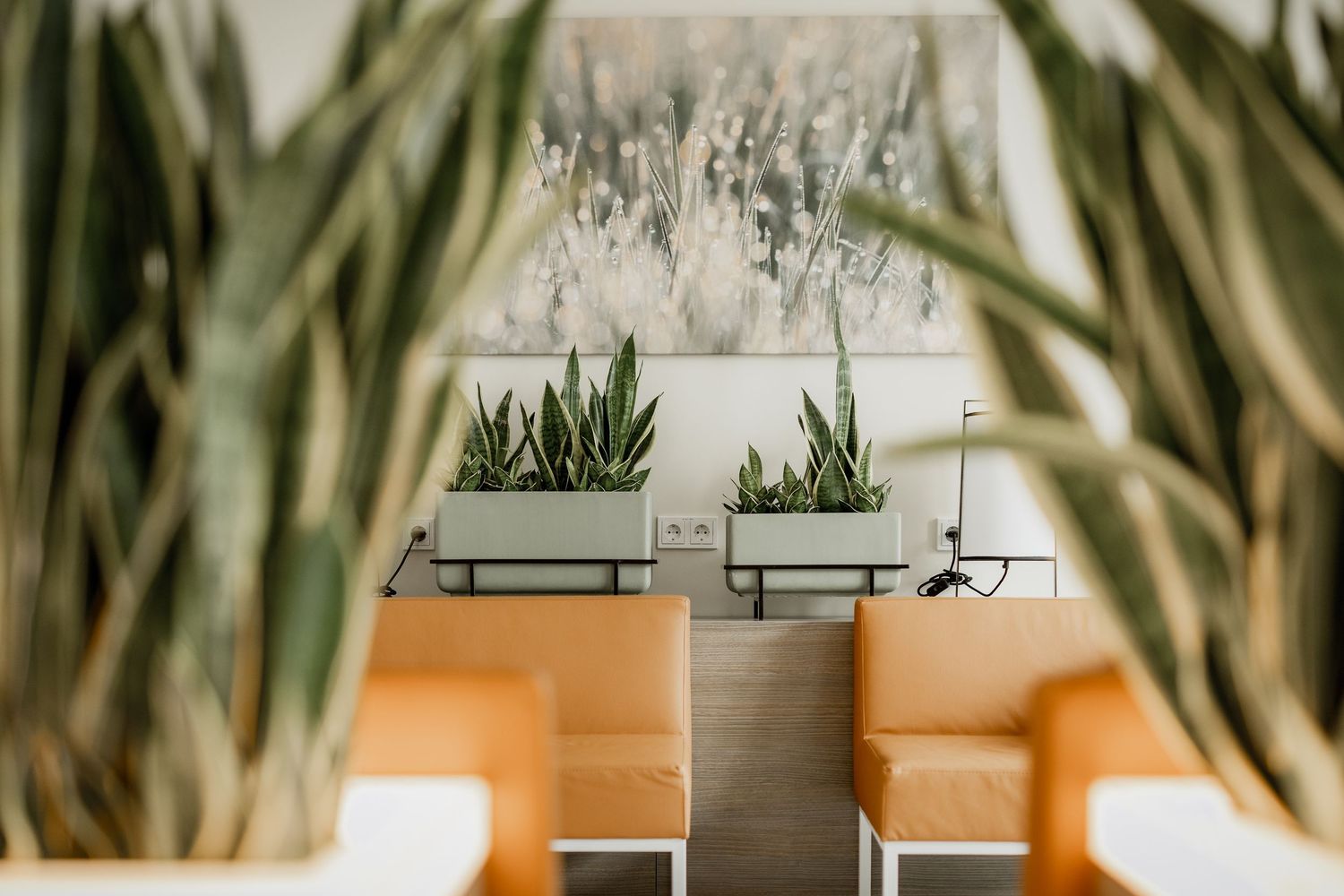 Modern lounge seating with orange chairs, wall-mounted planters with succulents, and abstract artwork in a bright interior.