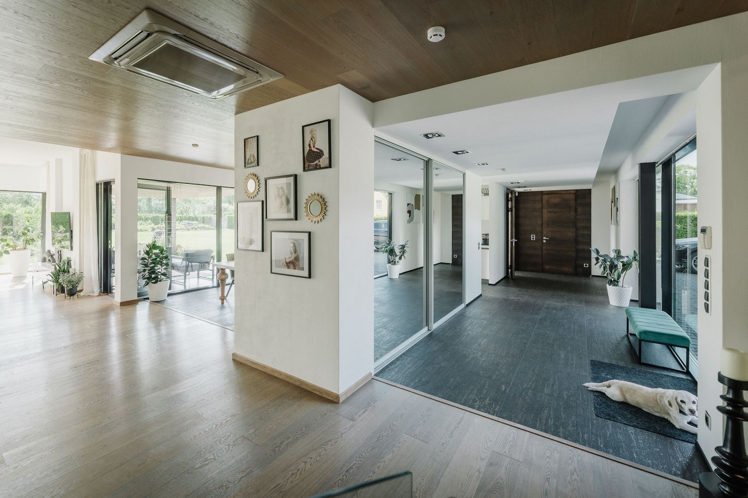 Modern open-plan entryway with hardwood floors, glass partitions, wooden ceiling, and a dog resting near the front door.